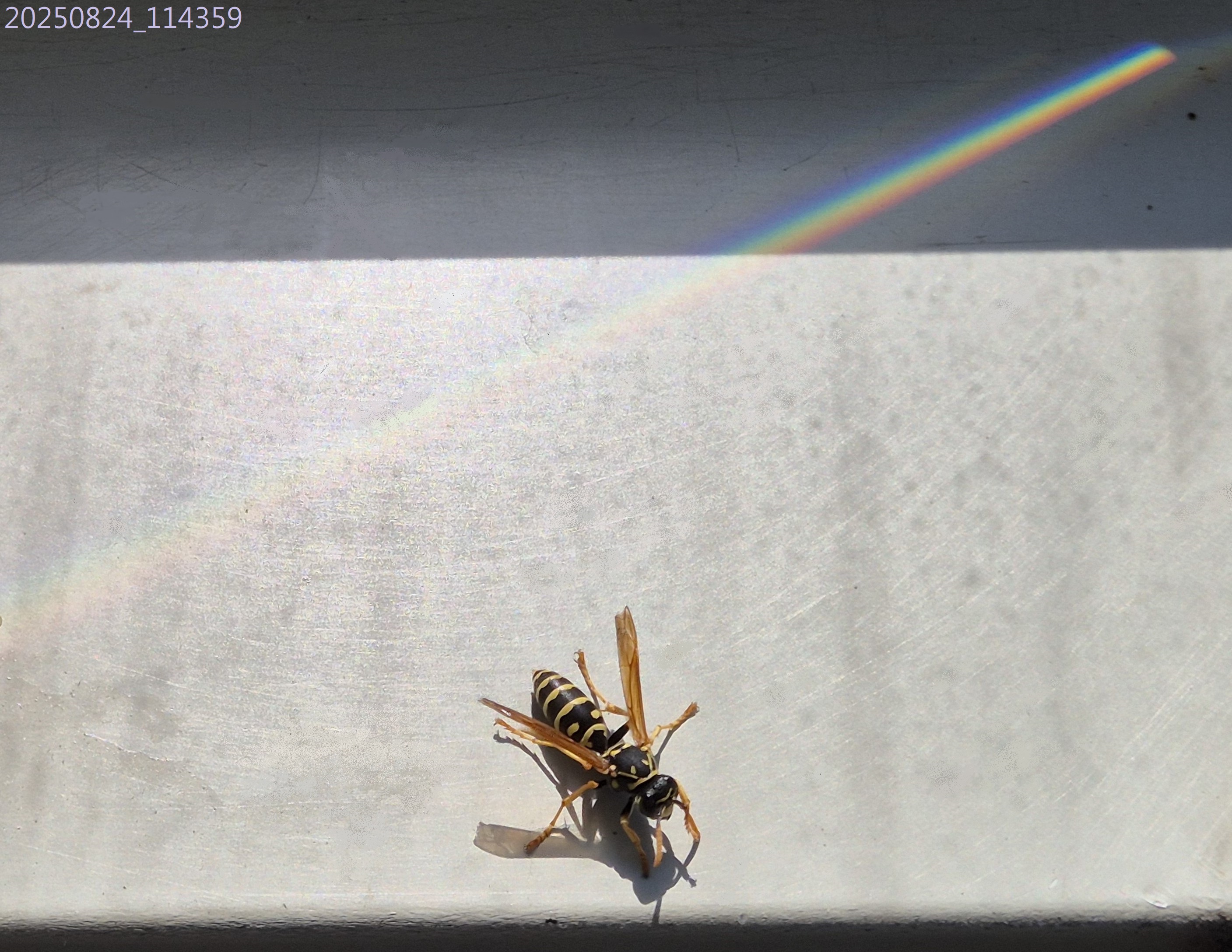 AP_2025_180