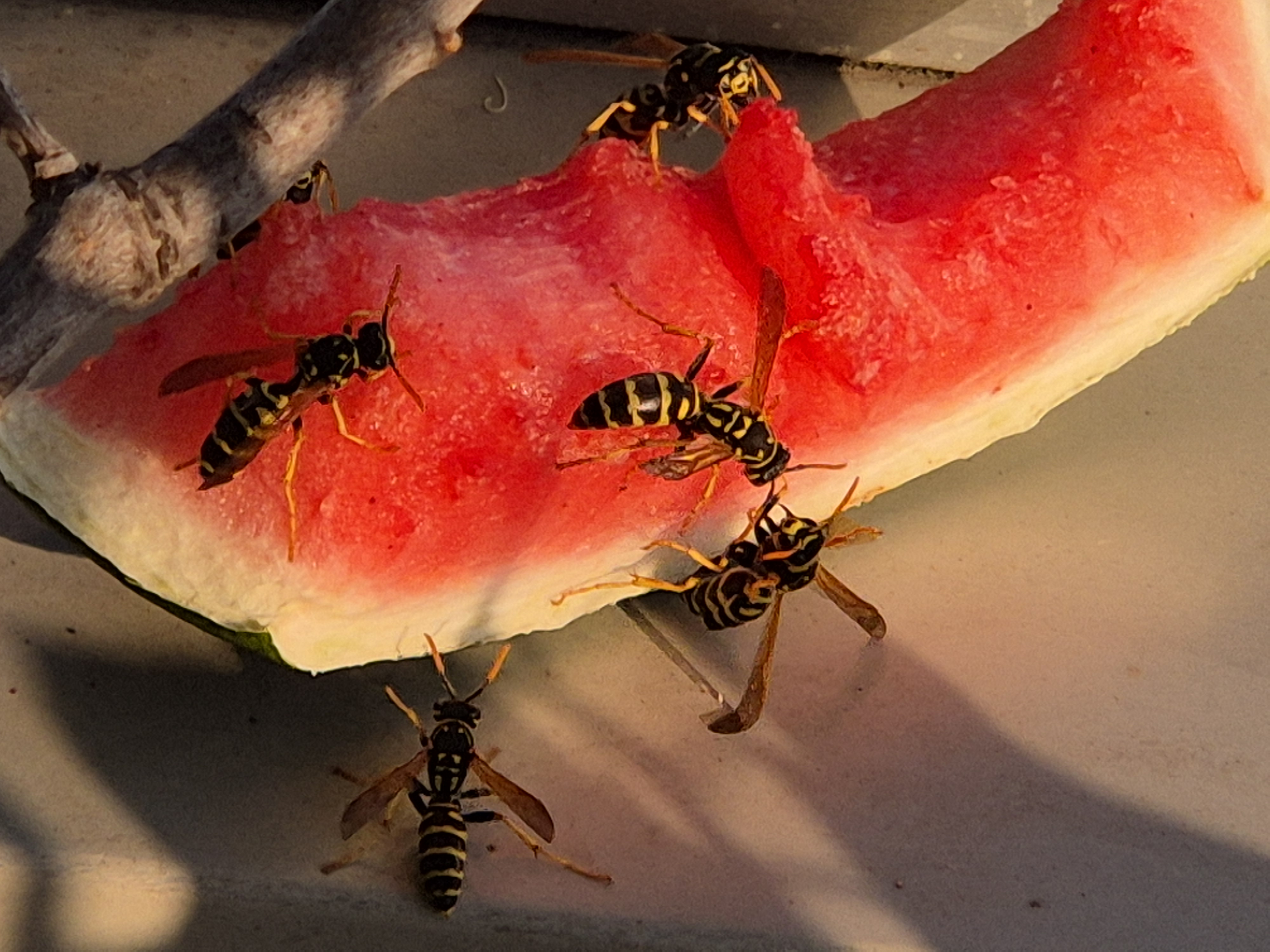 Aug_2026_107