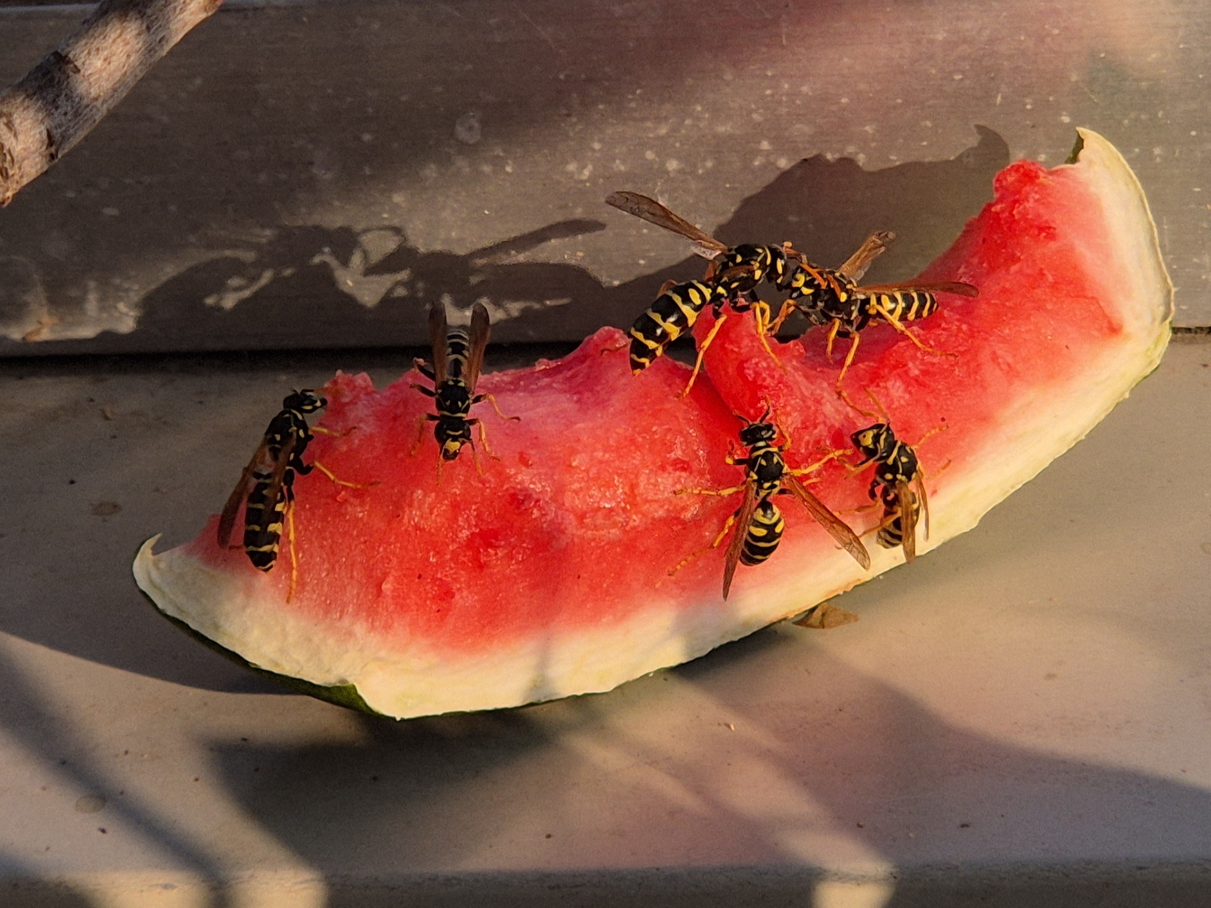 Aug_2026_108