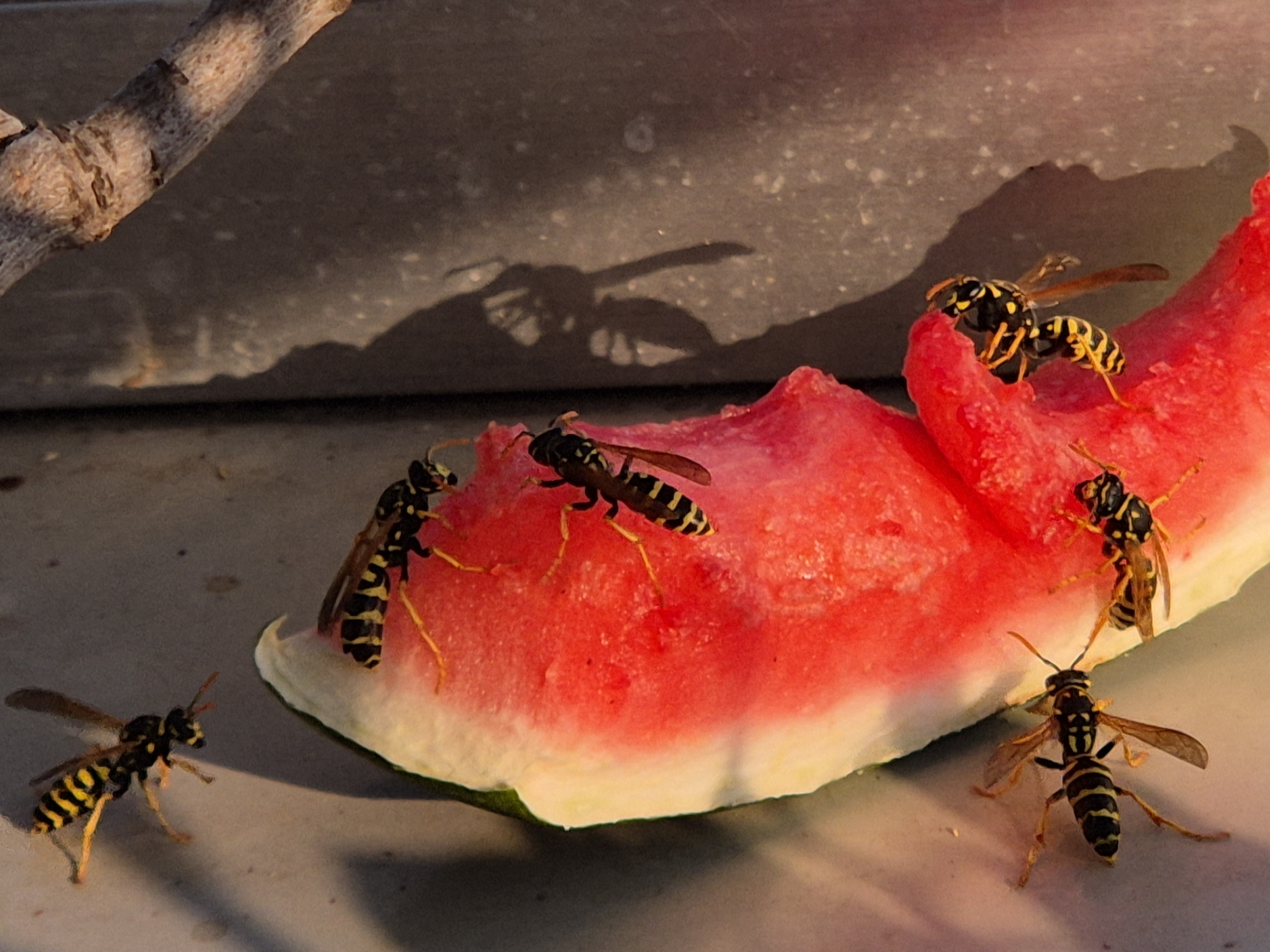 Aug_2026_109