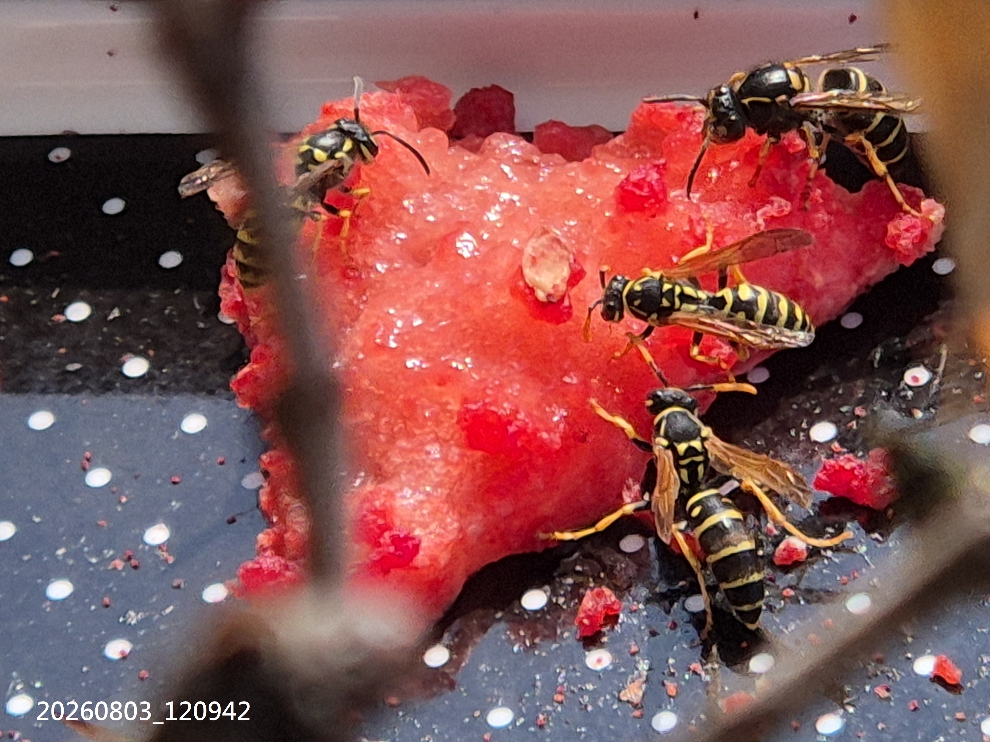 Aug_2026_120
