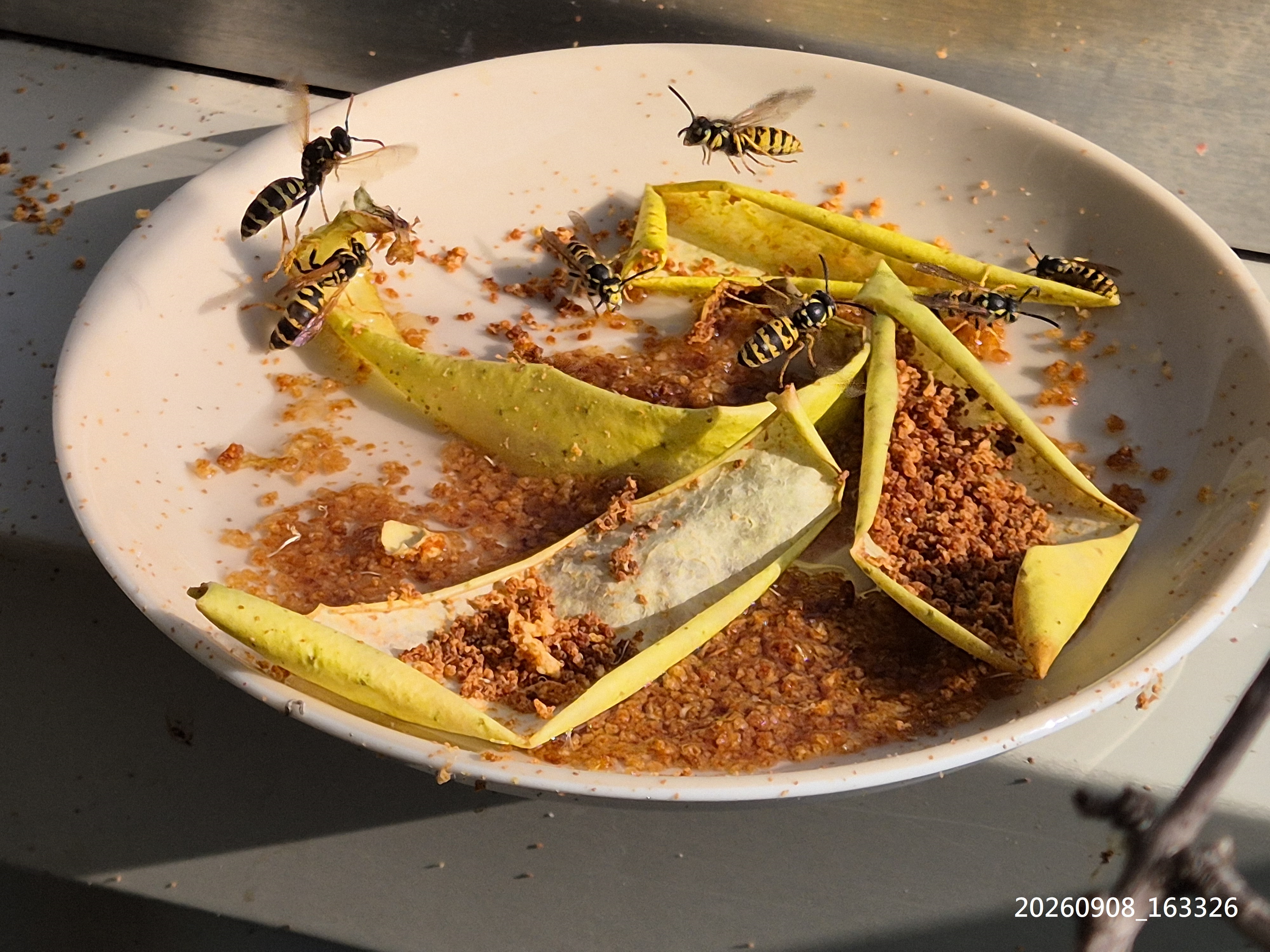 Sep_2026_22