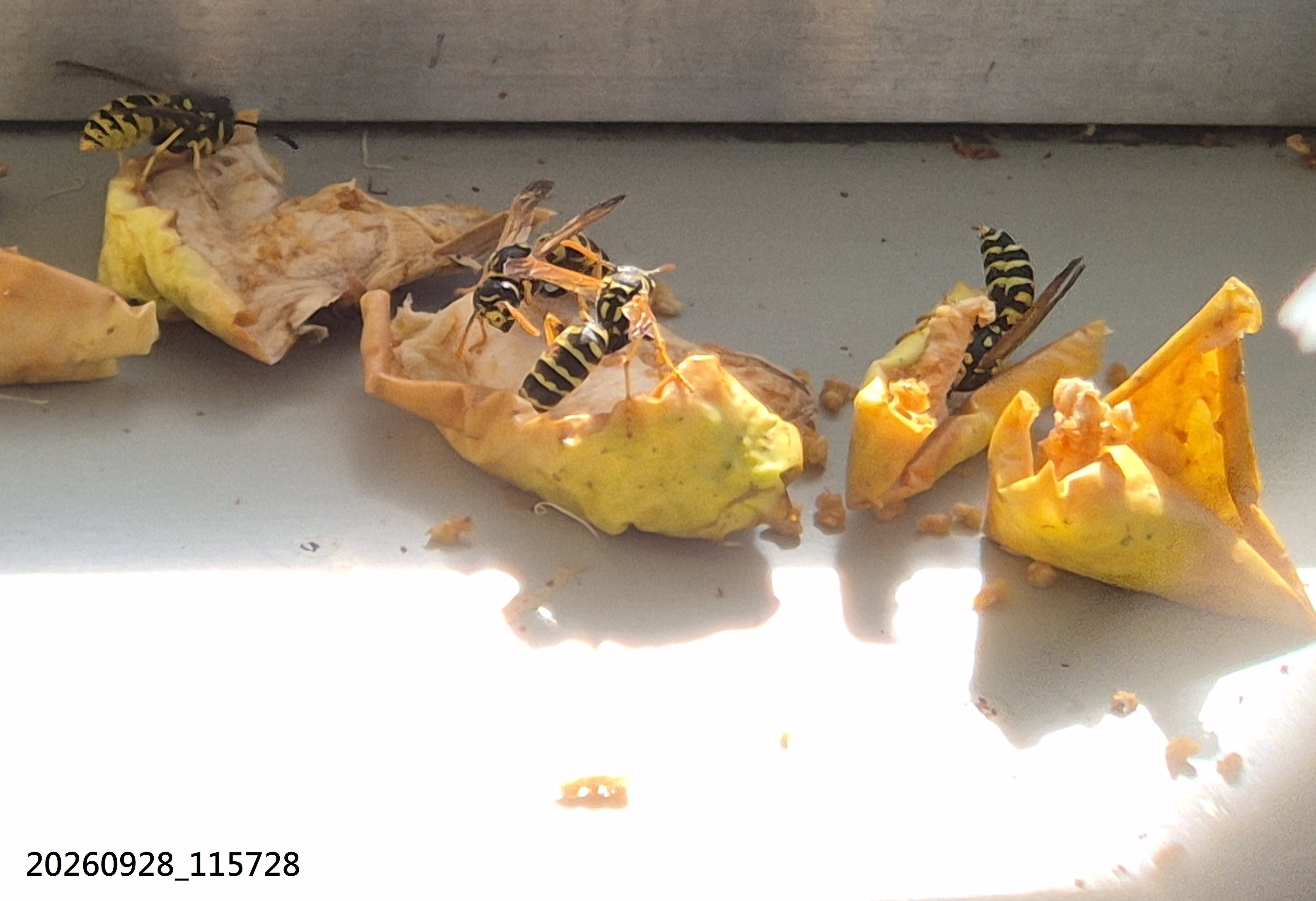 Sep_2026_70