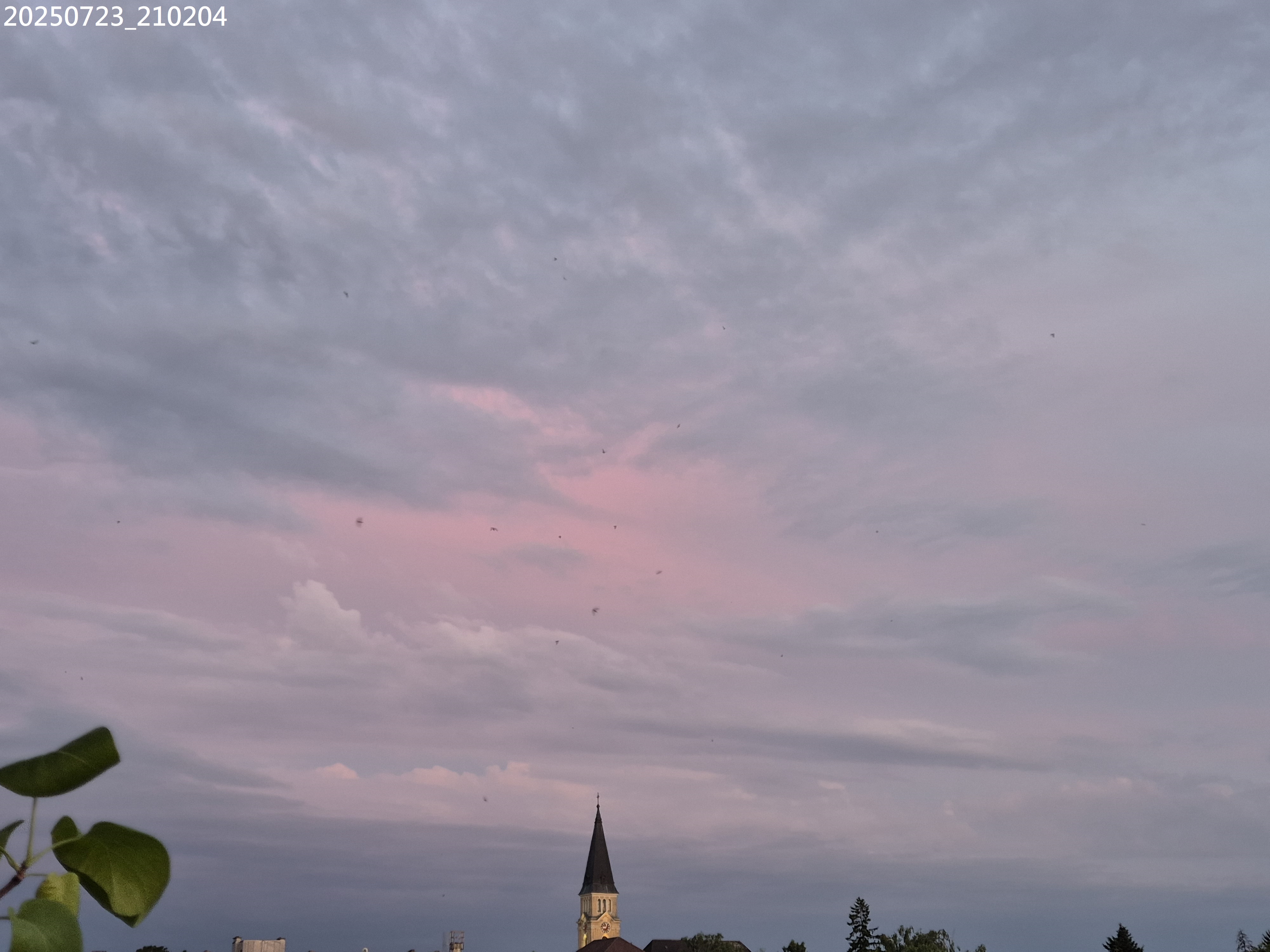 B2025_7_17