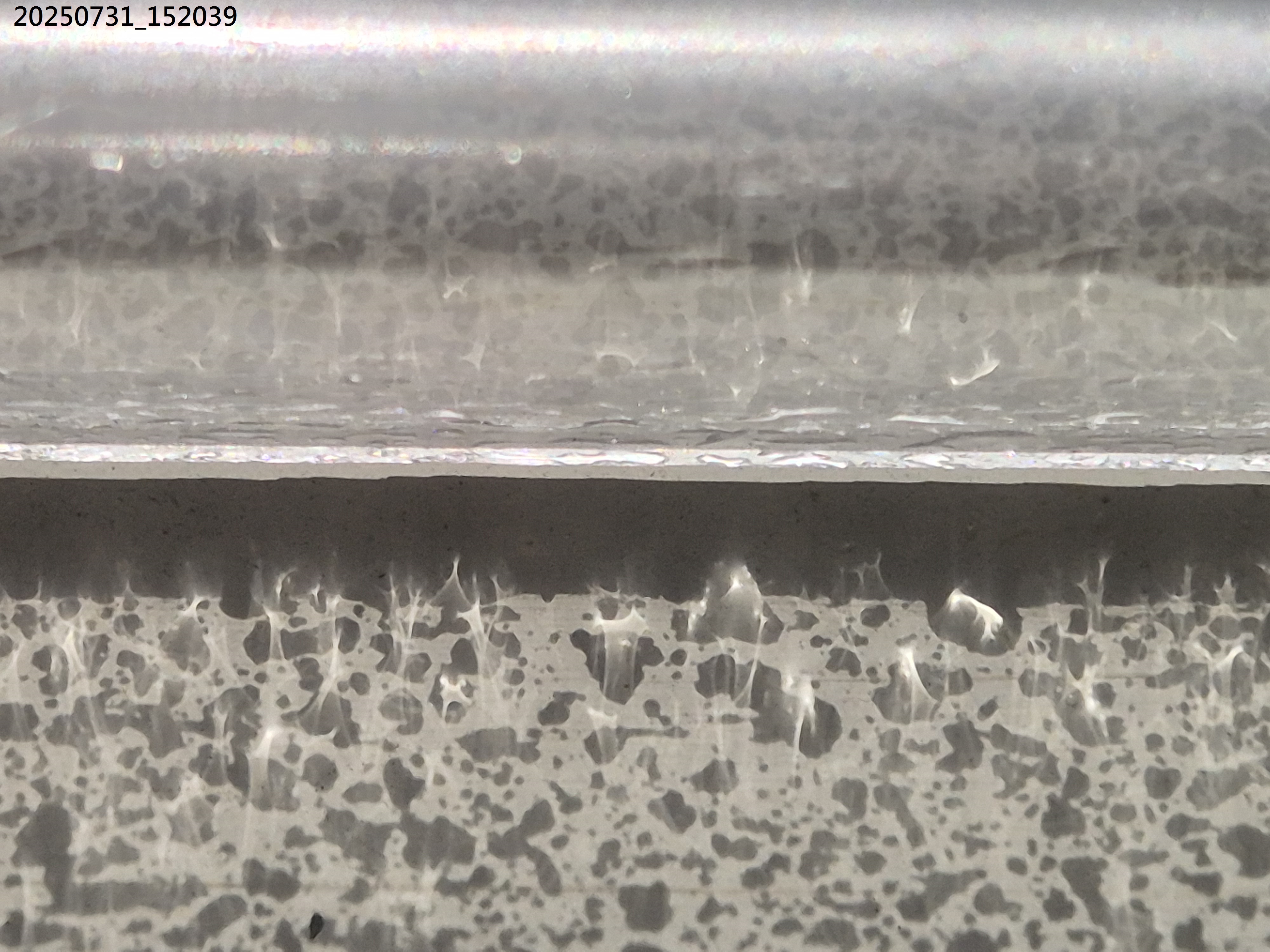 B2025_7_31