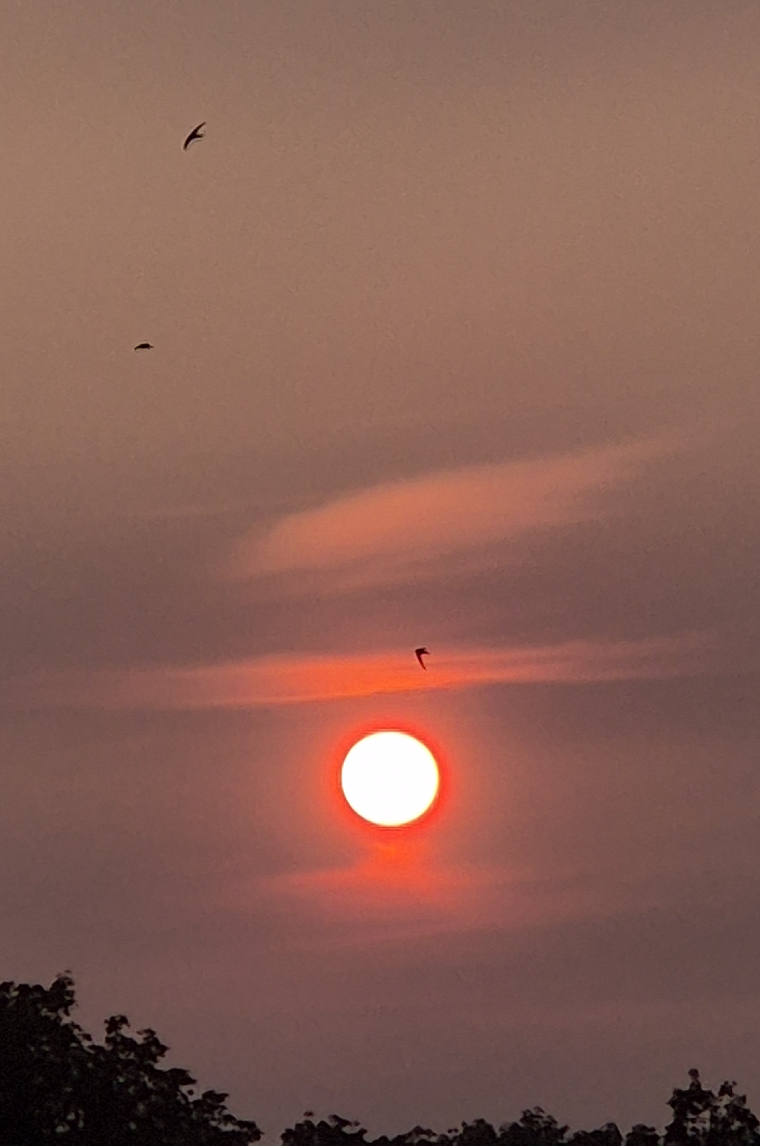 B2025_6_12
