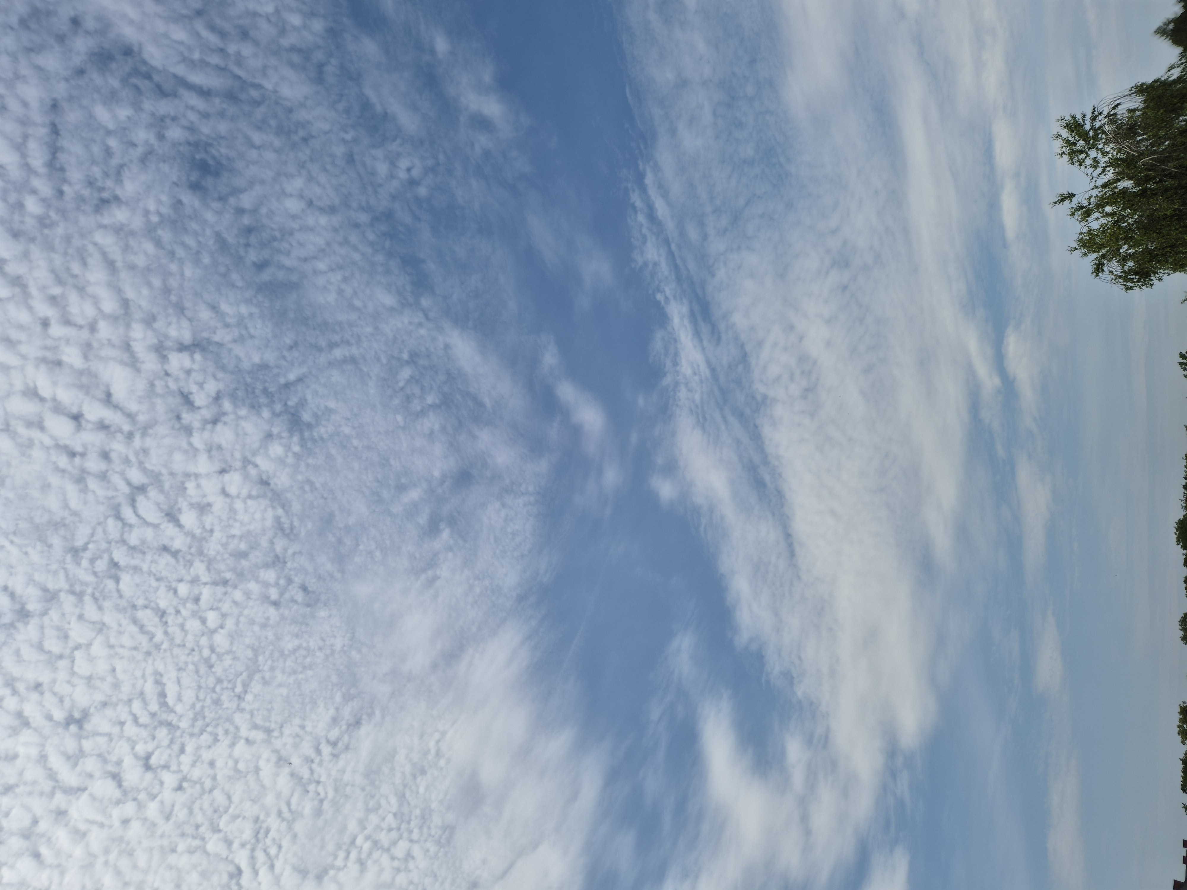 B2025_6_2