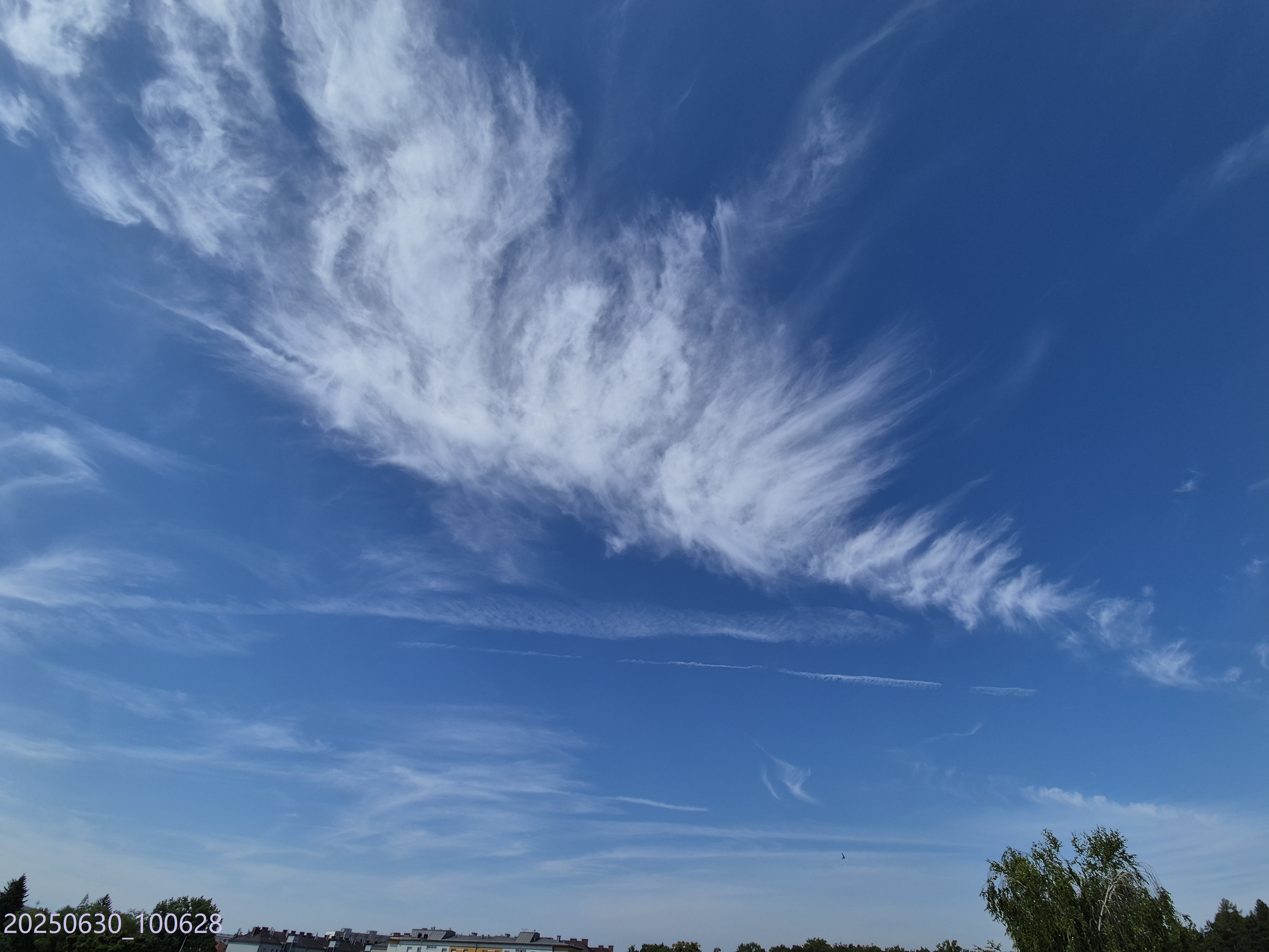 B2025_6_30