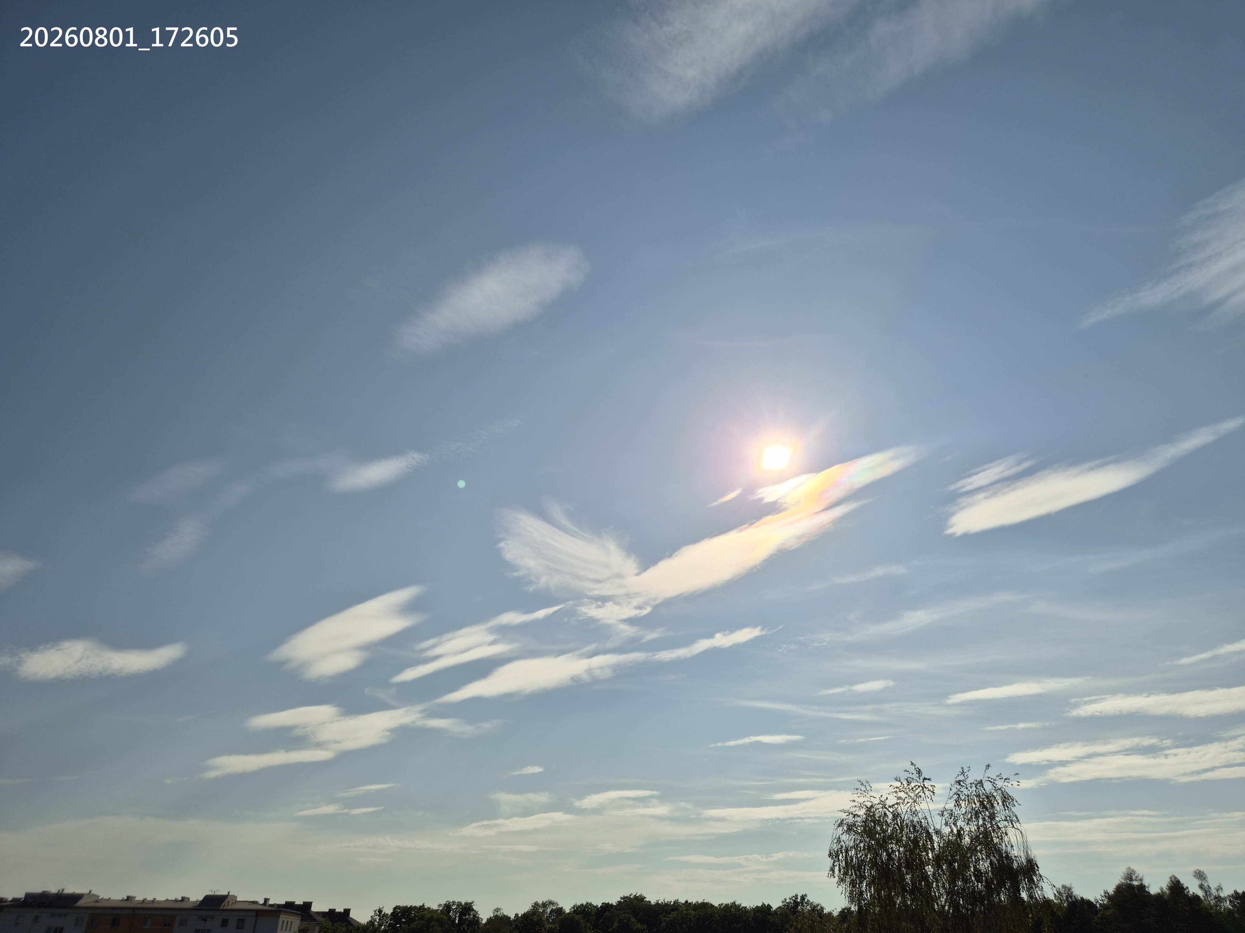 B2026_08_1