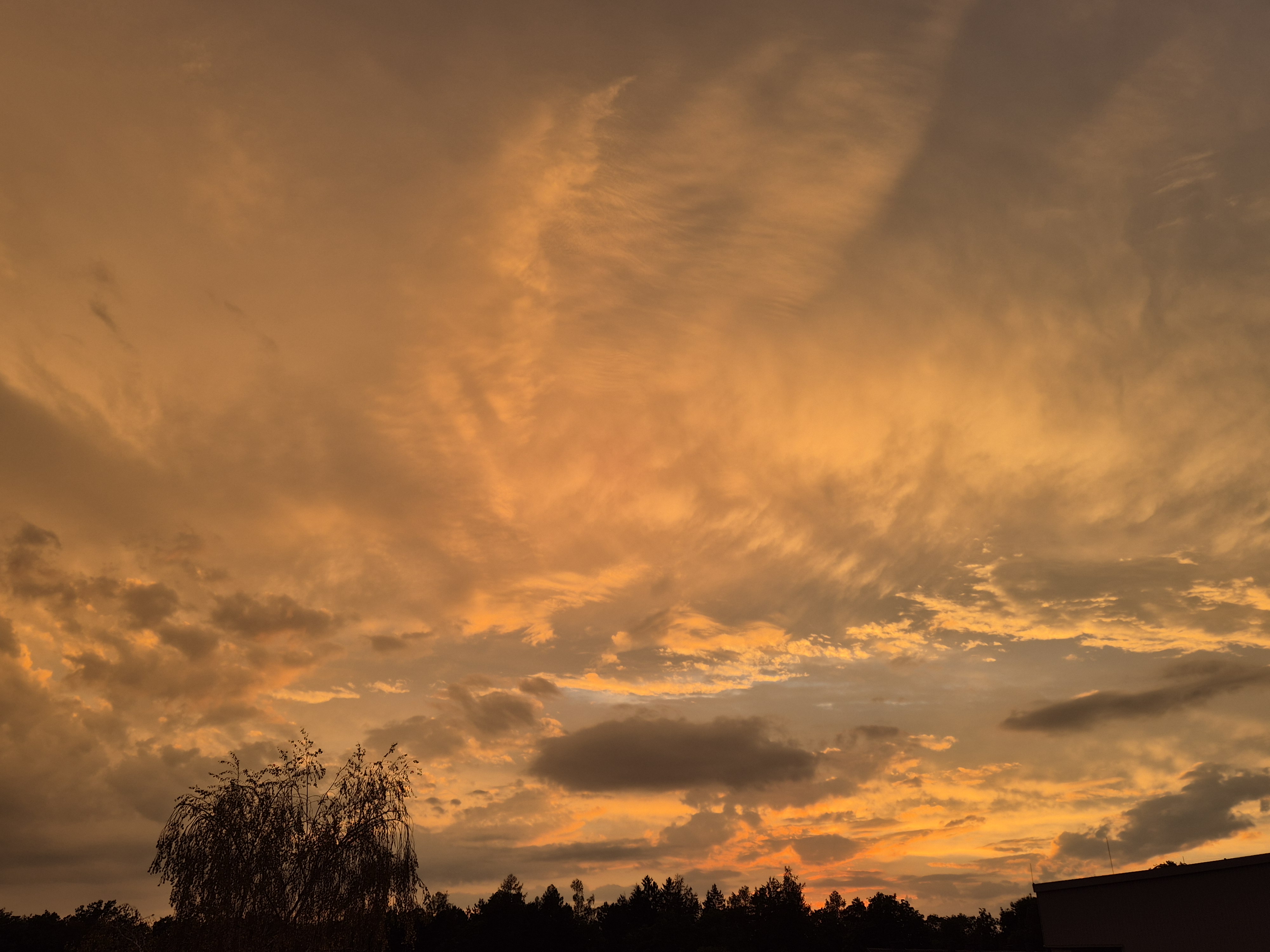B2026_08_18