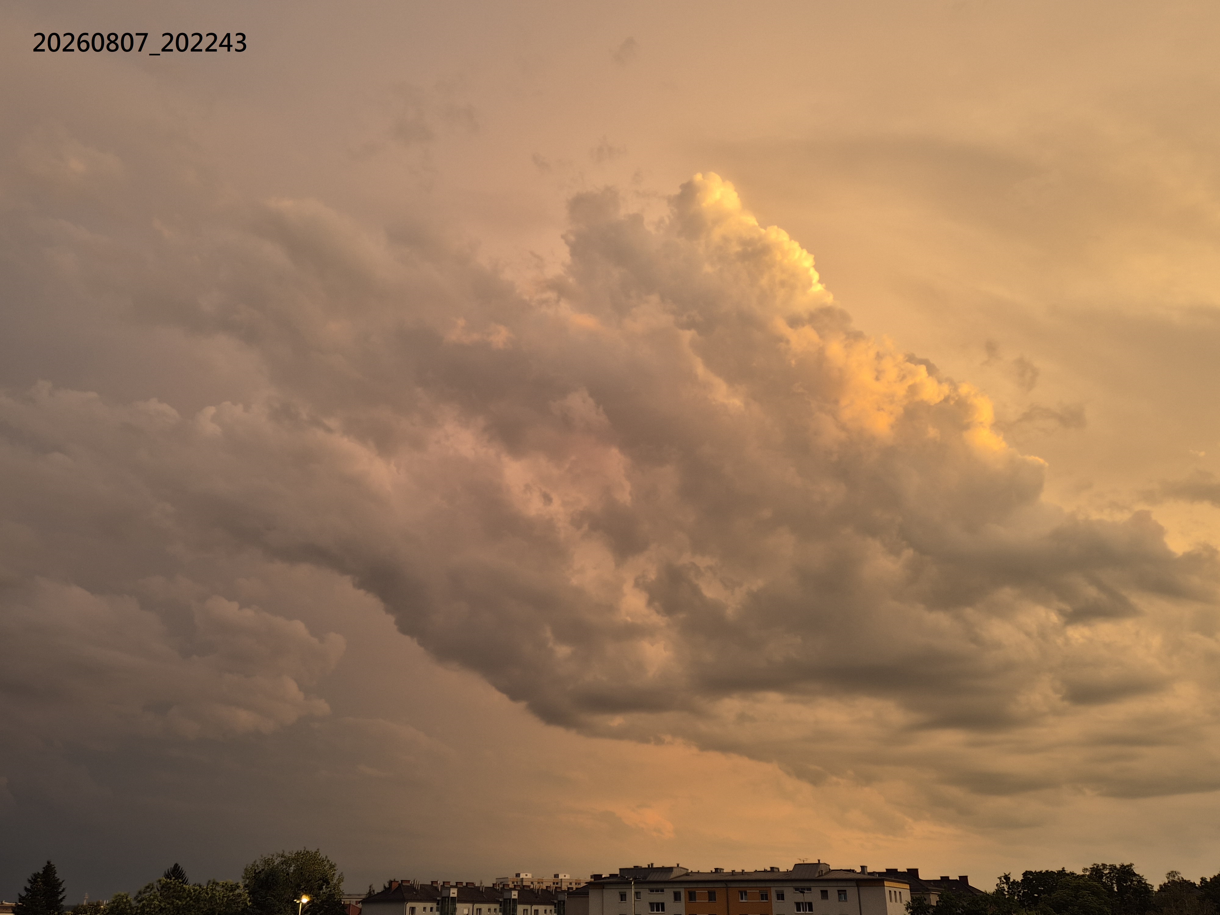 B2026_08_19
