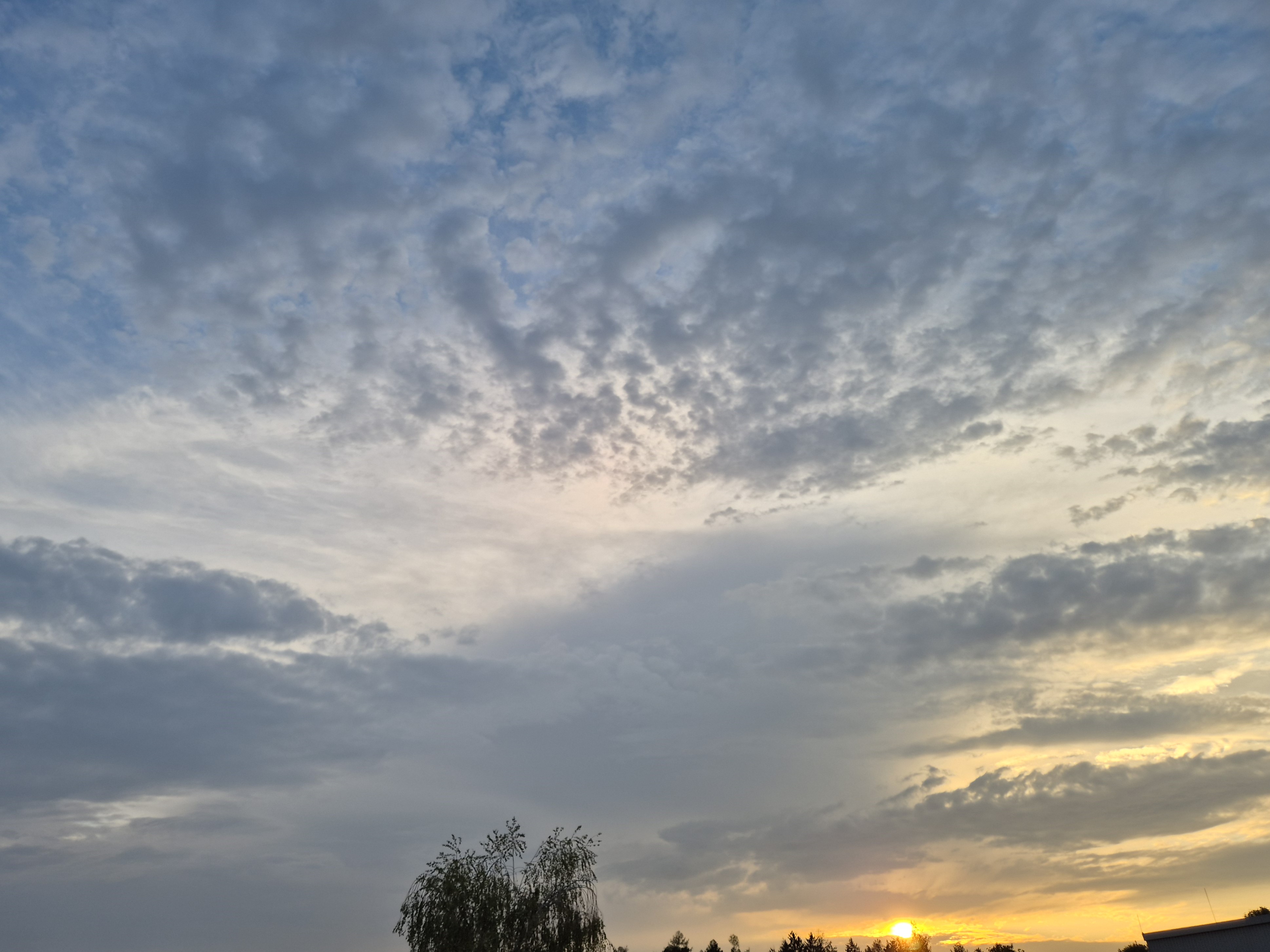 B2026_08_2