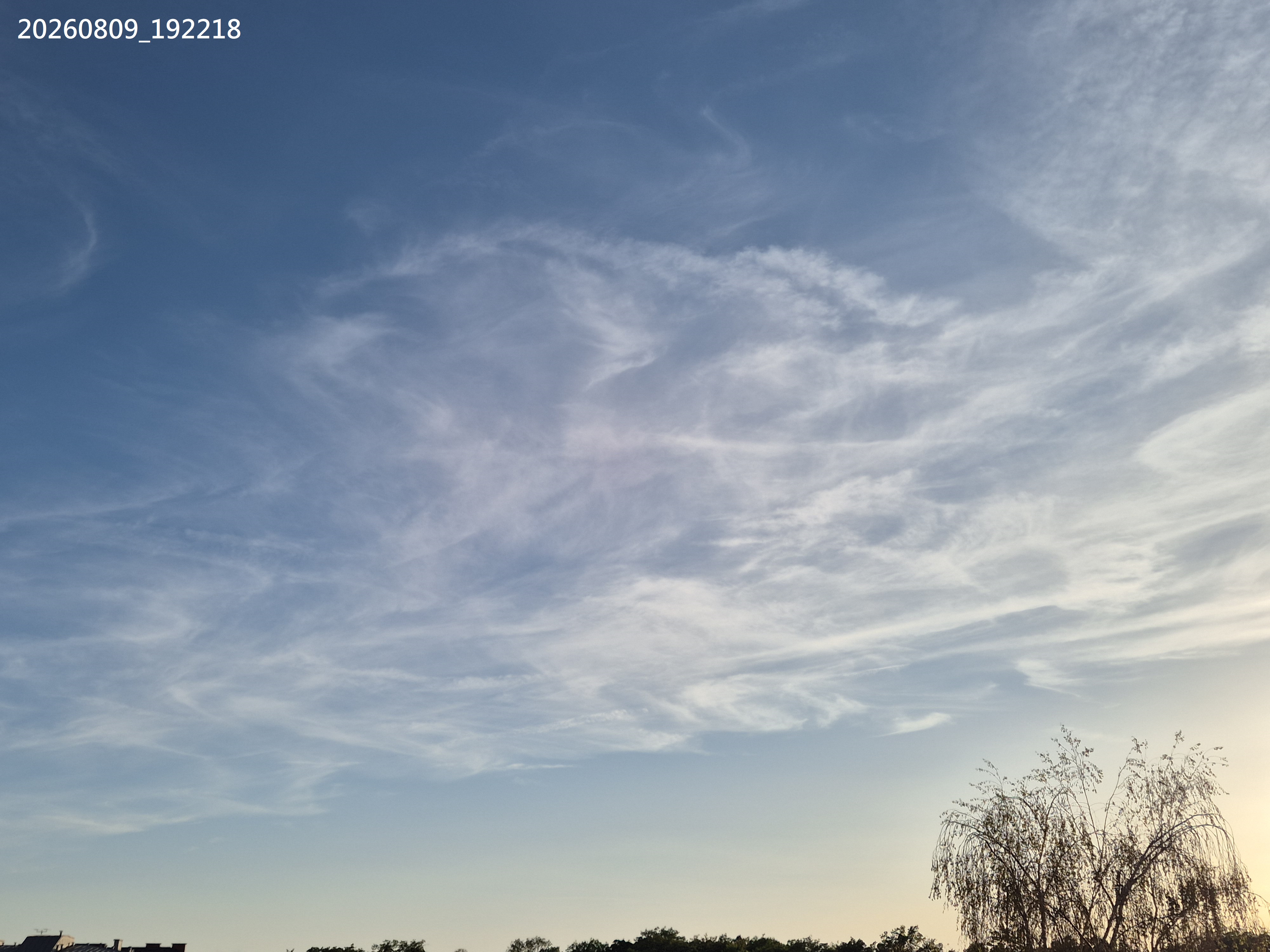 B2026_08_21