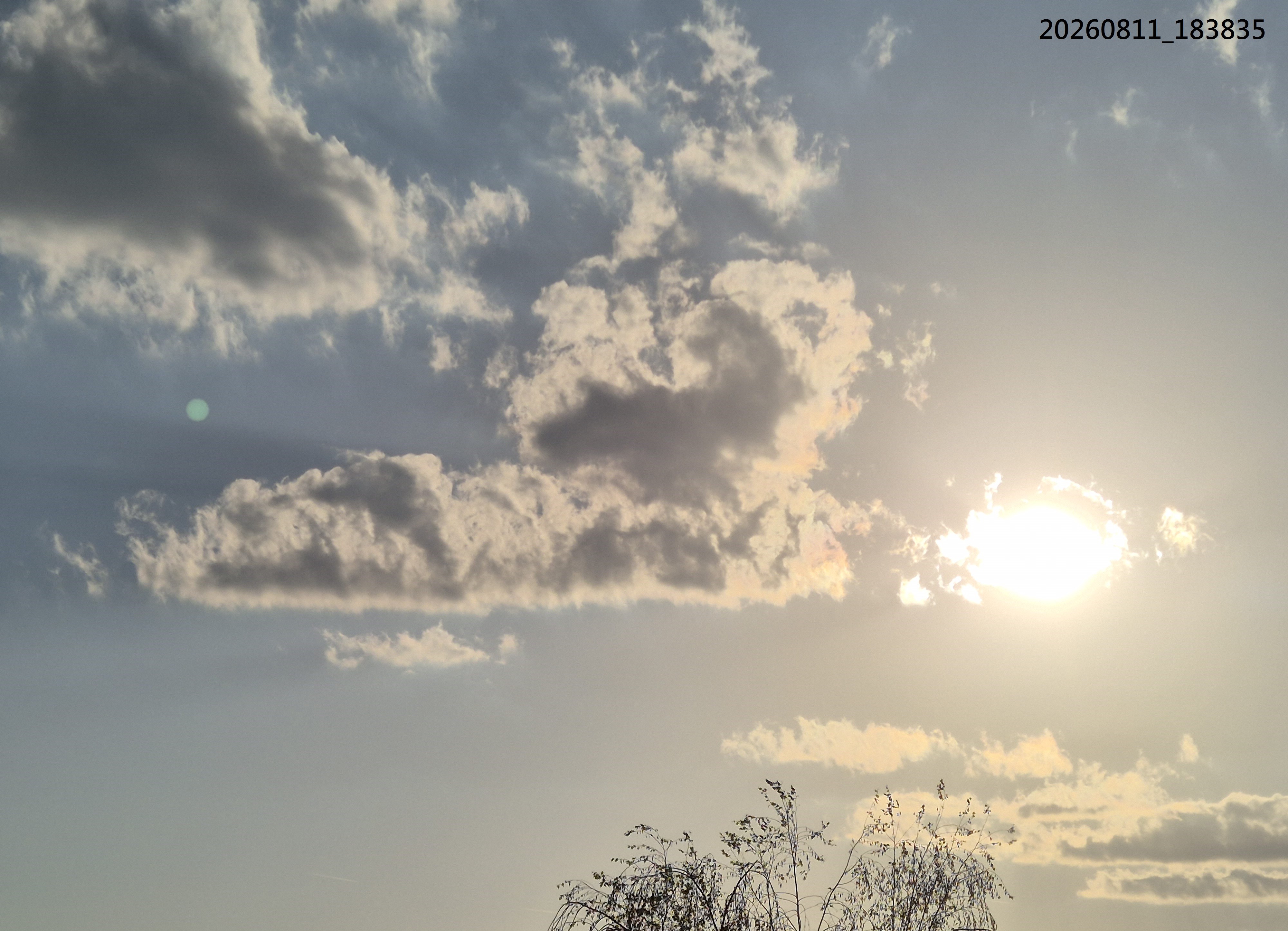 B2026_08_26