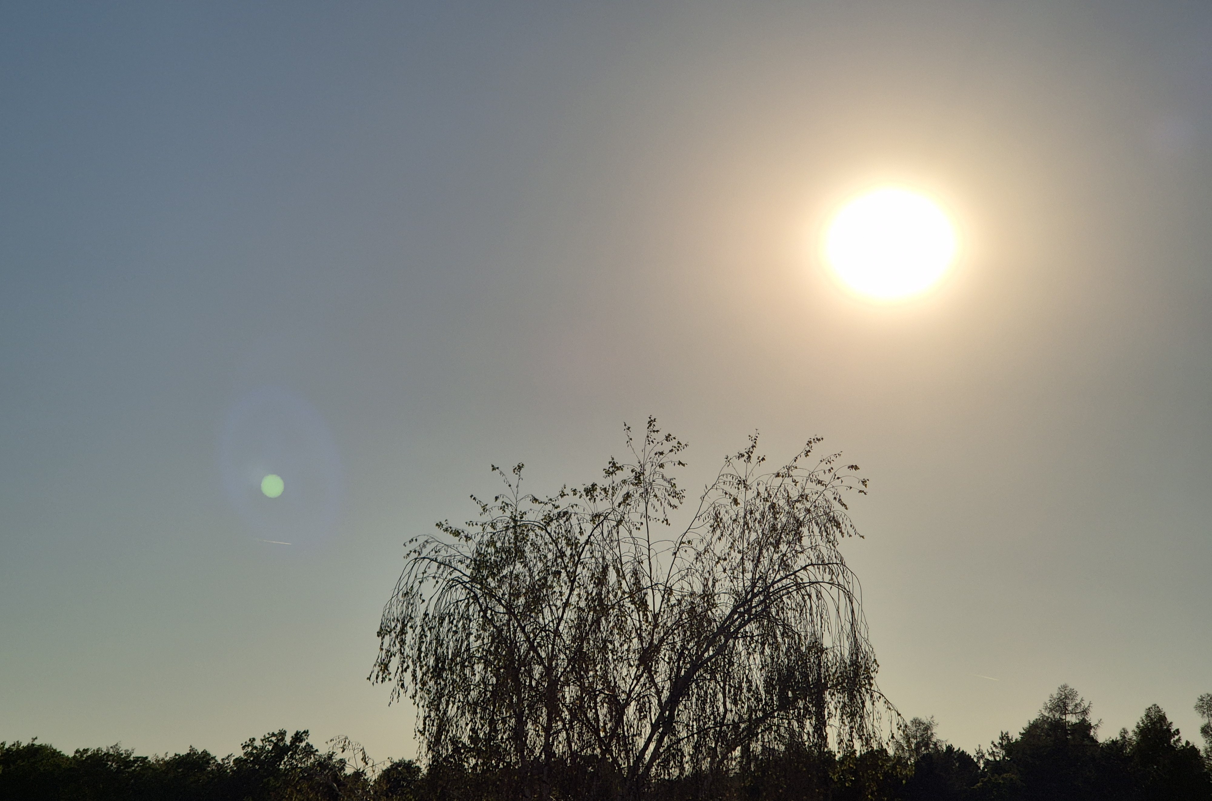 B2026_08_28