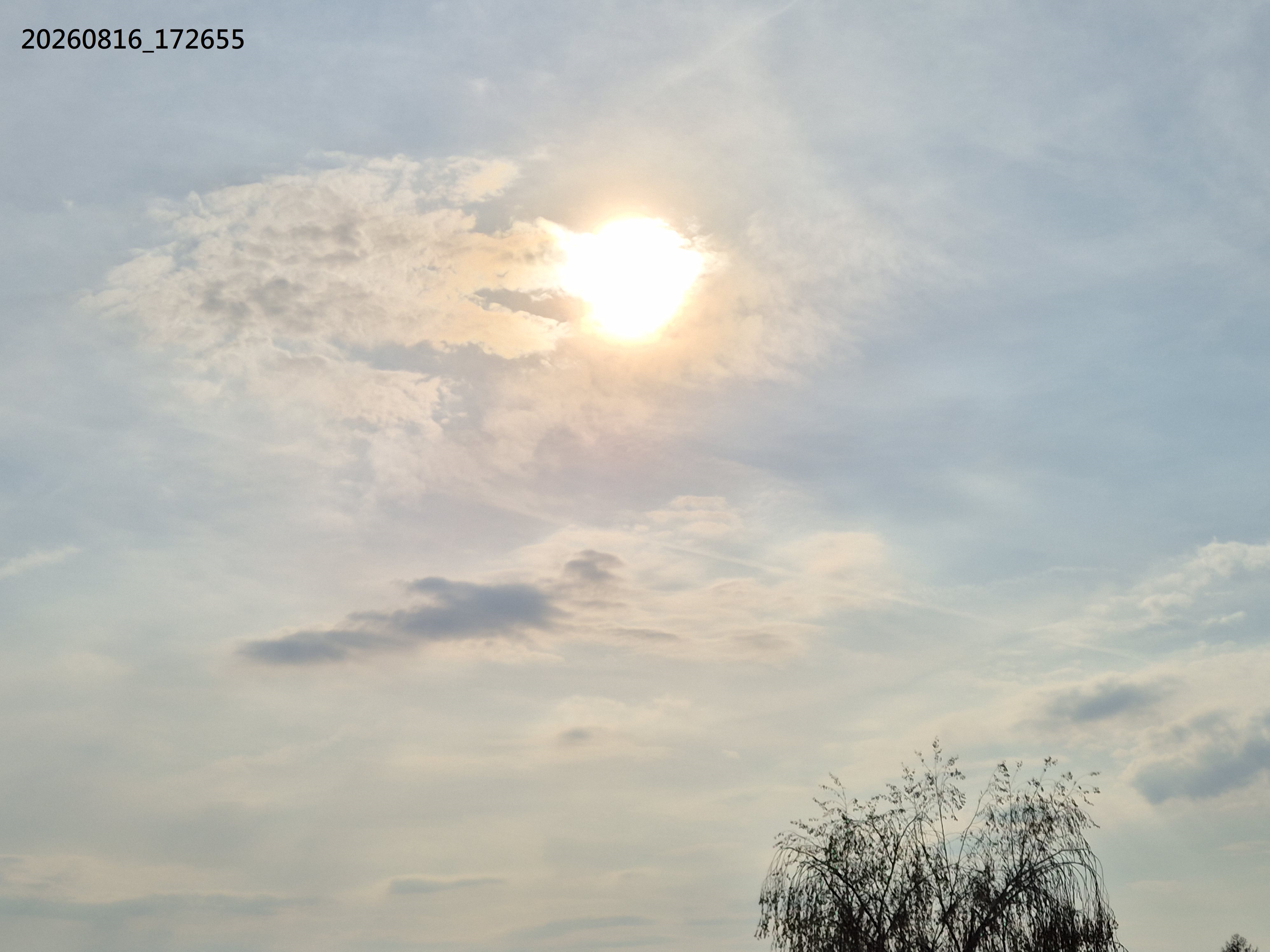 B2026_08_34