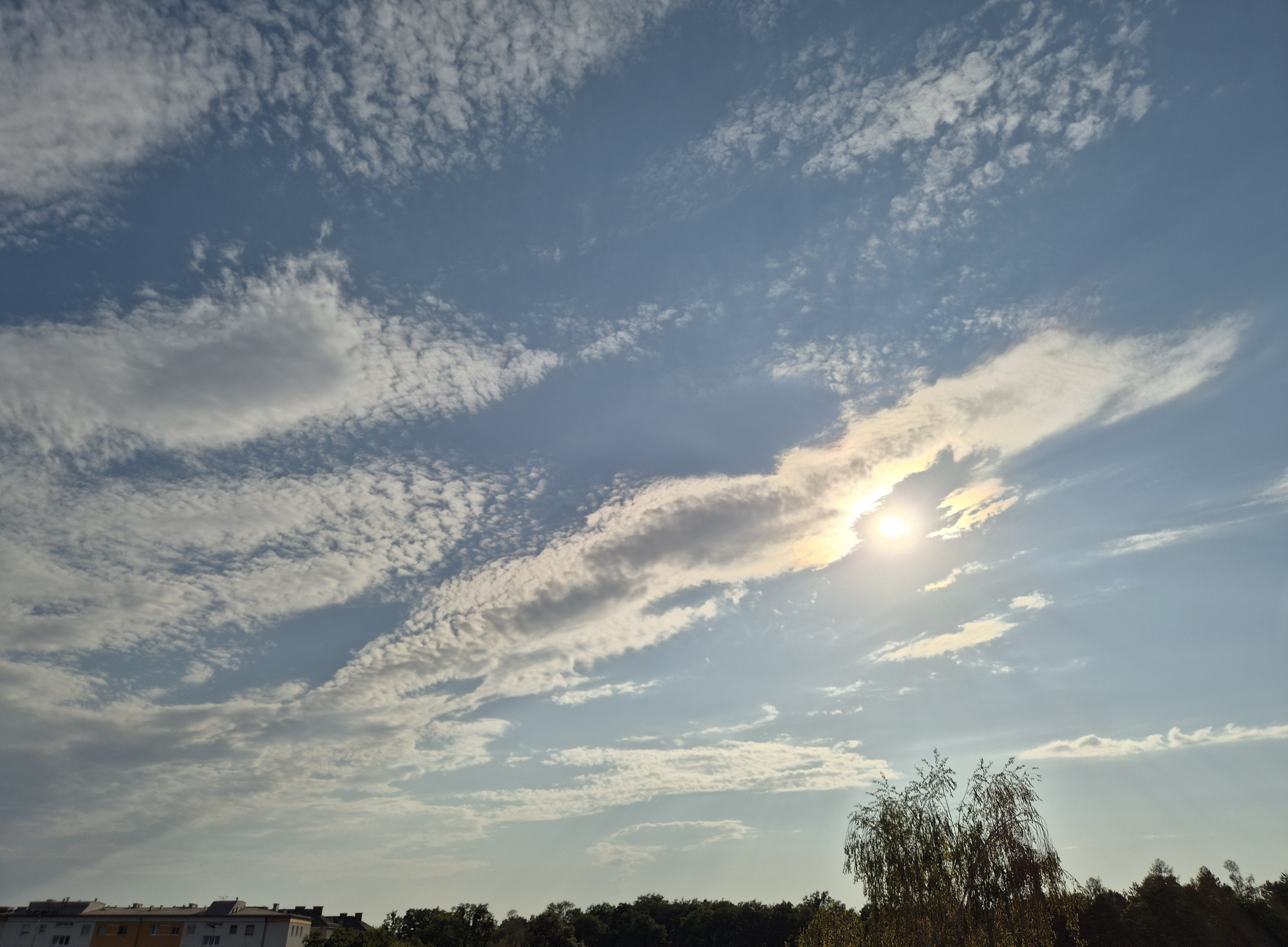 B2026_08_6