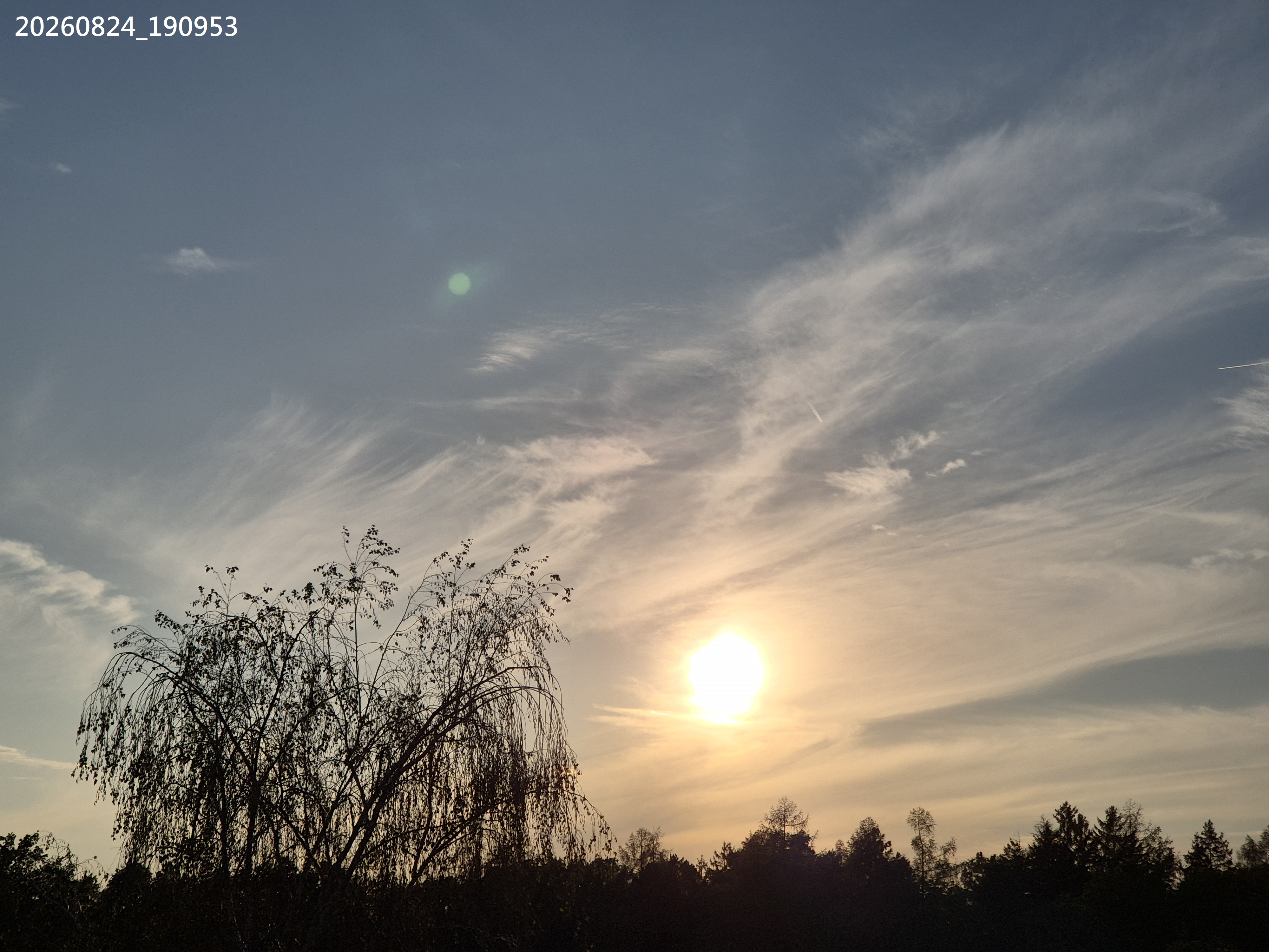 B2026_08_67