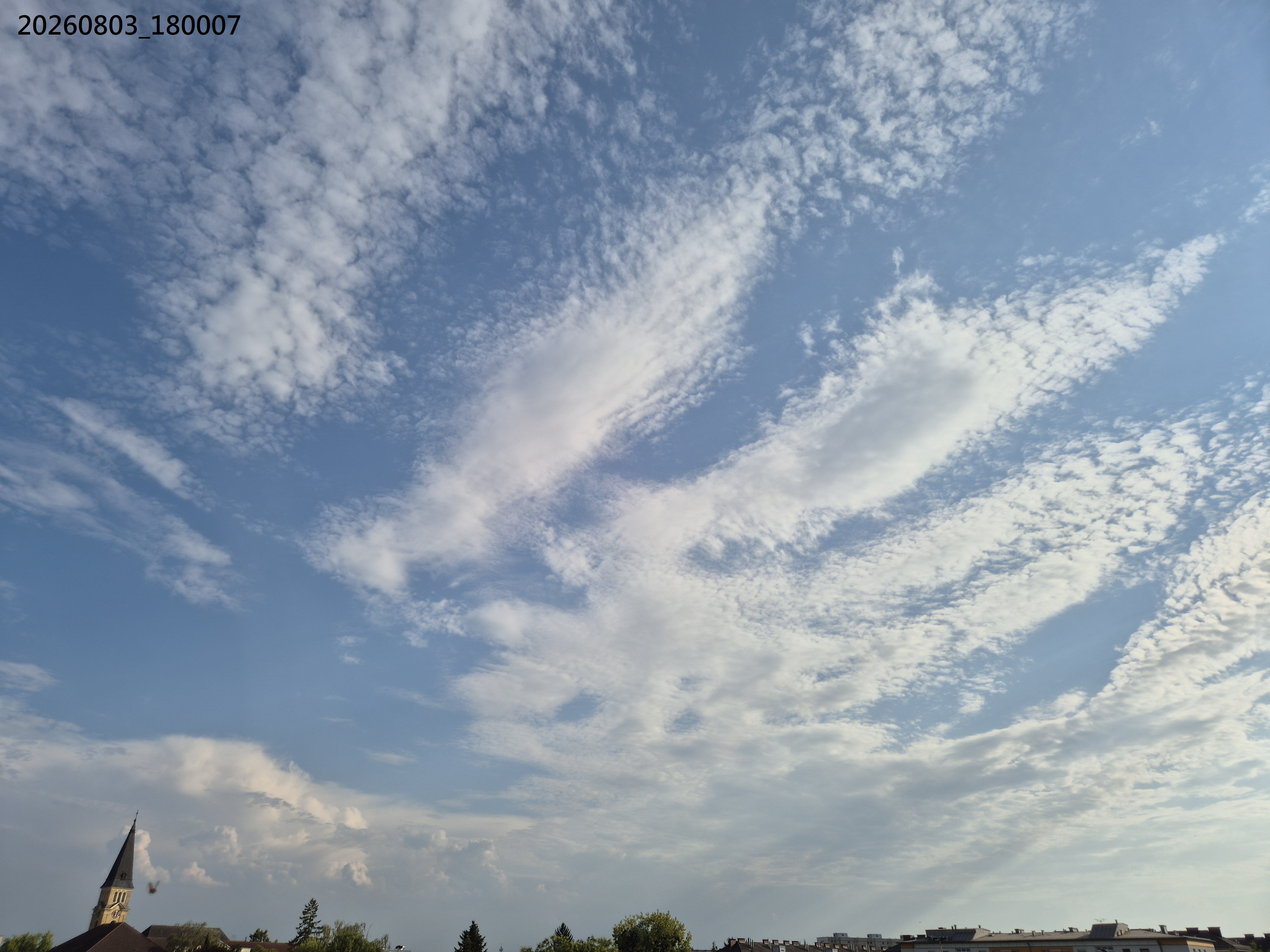 B2026_08_7