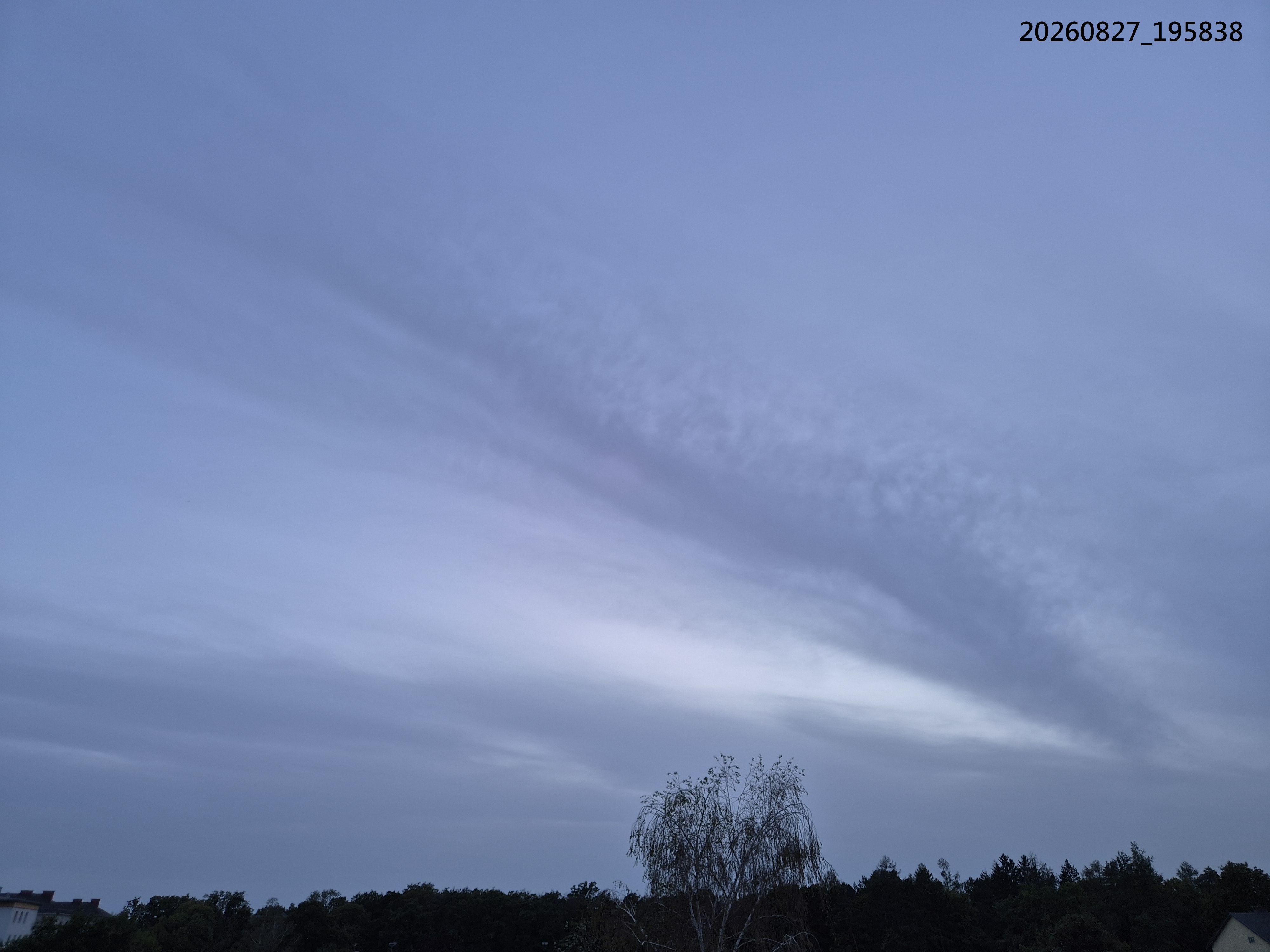 B2026_08_70