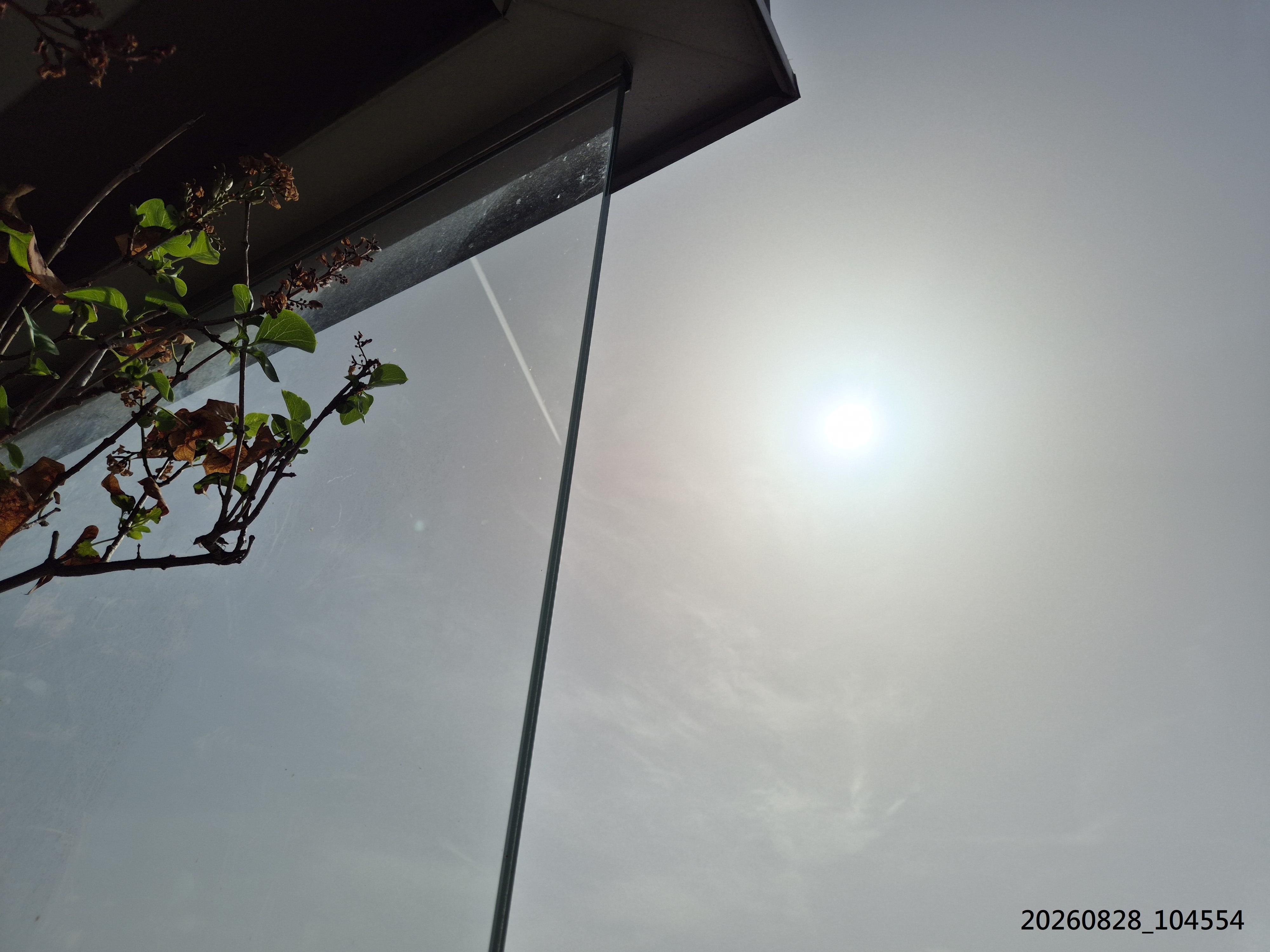 B2026_08_71