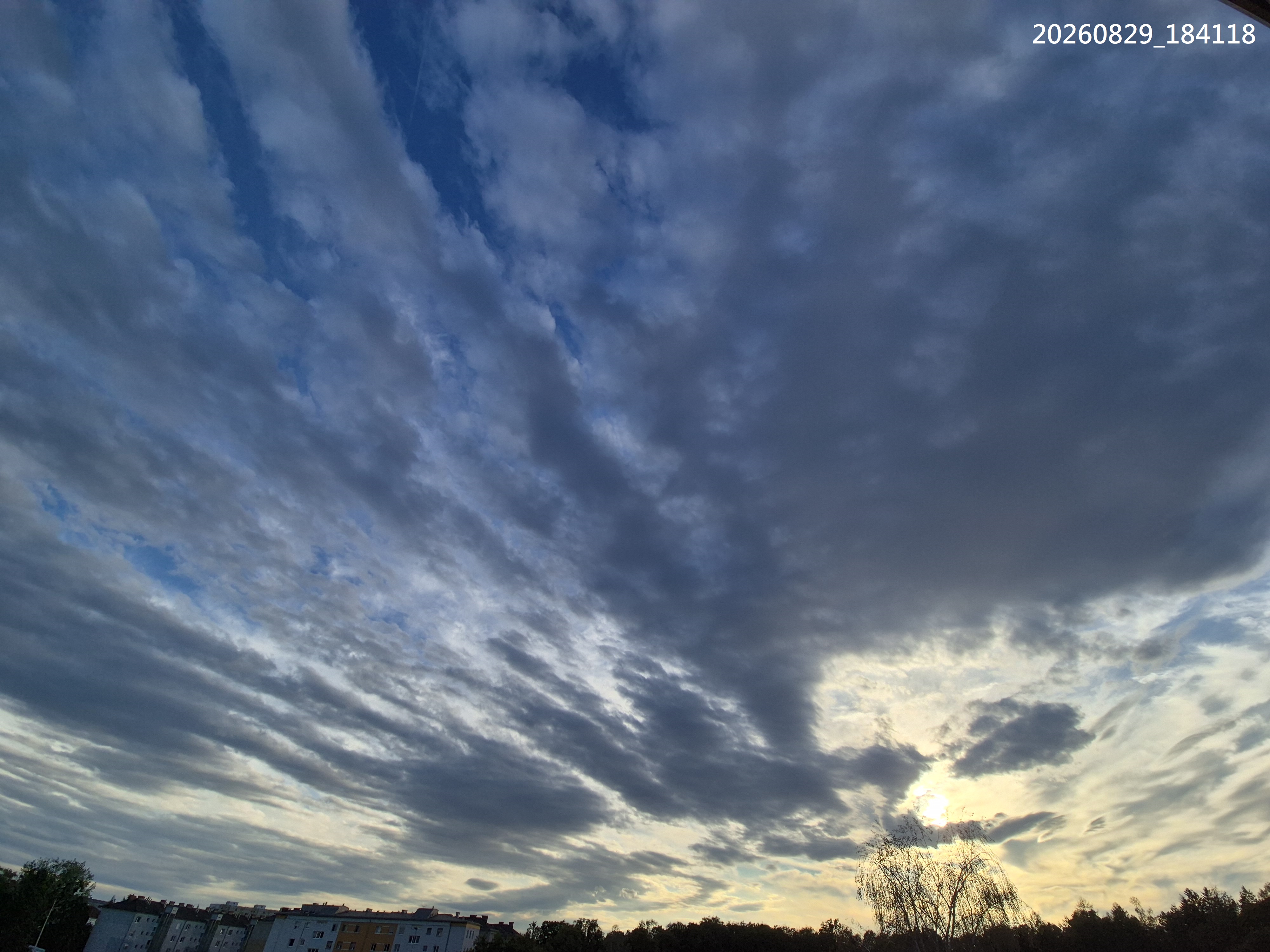 B2026_08_79