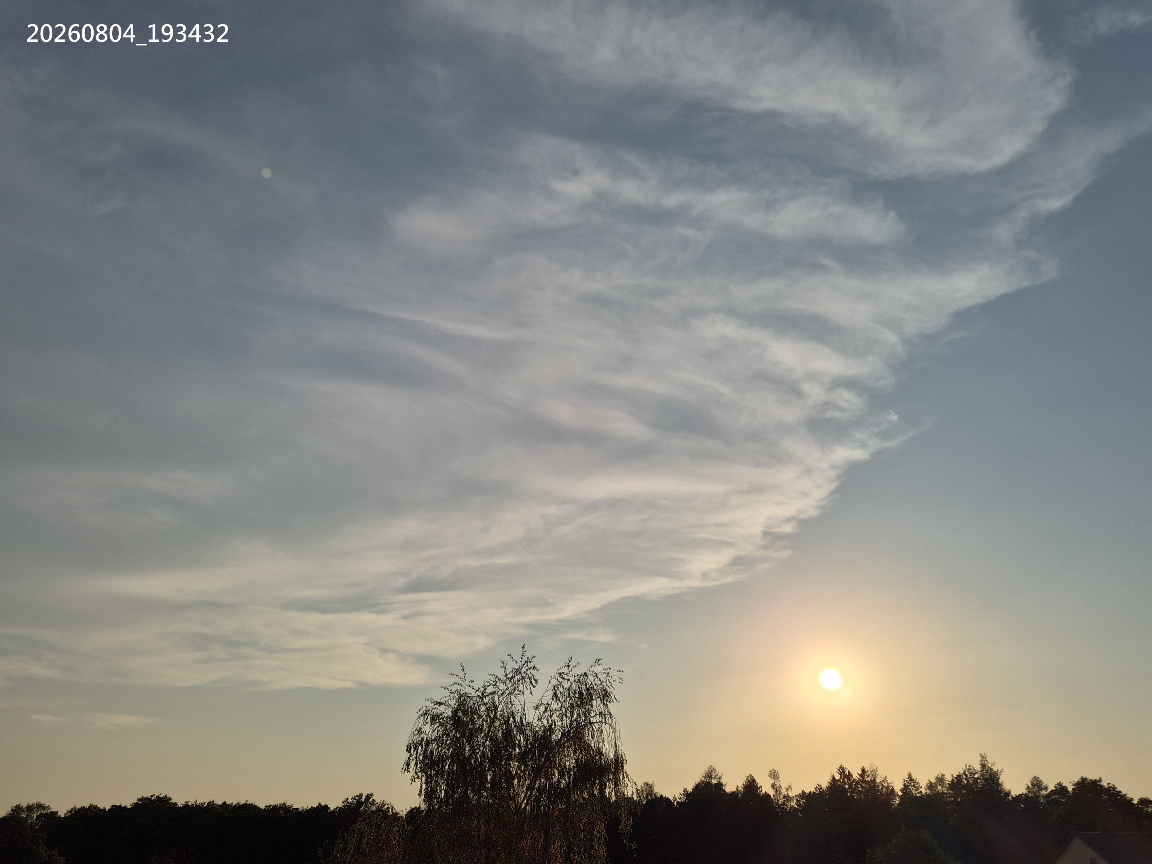 B2026_08_8