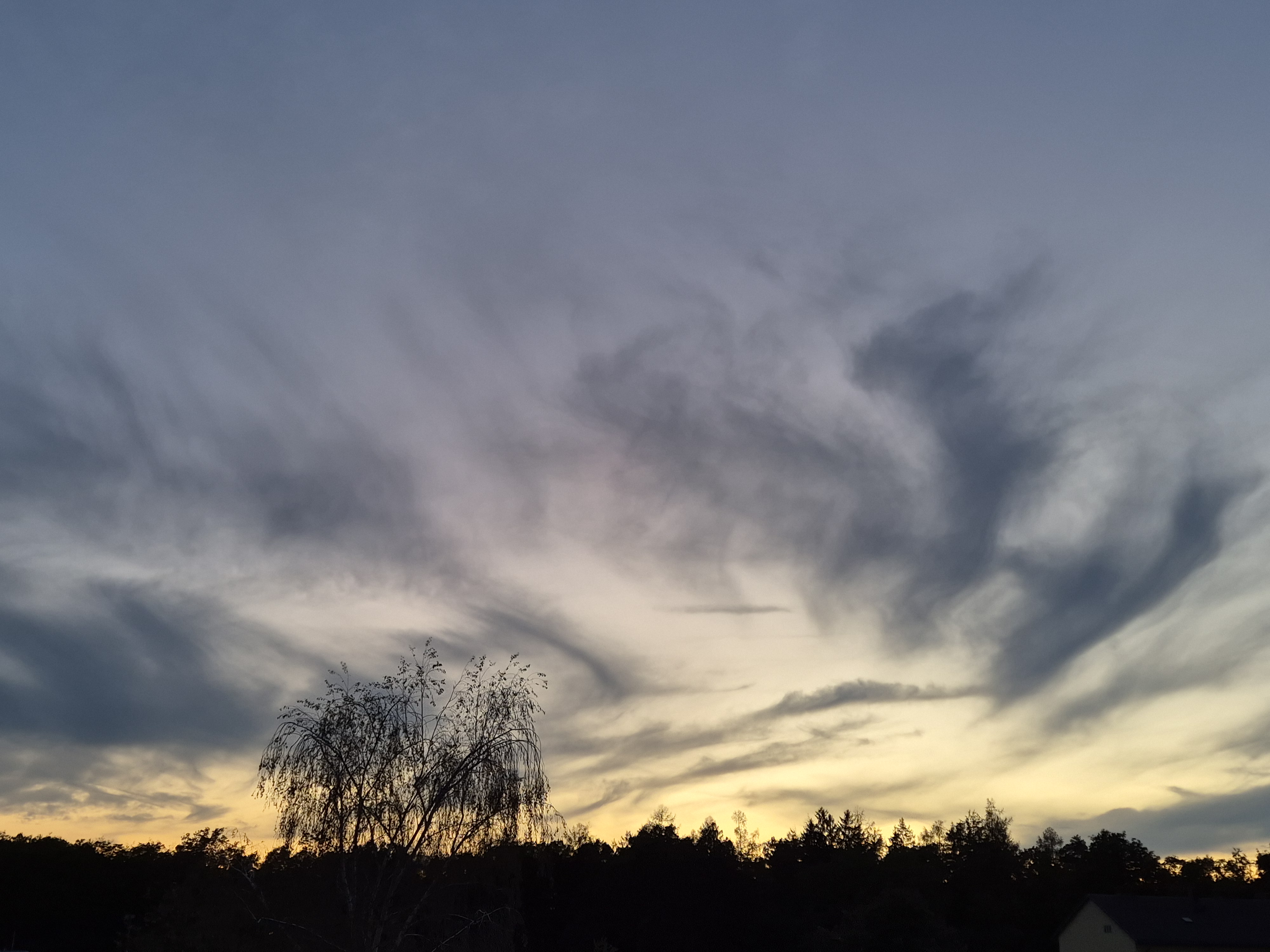 B2026_08_81