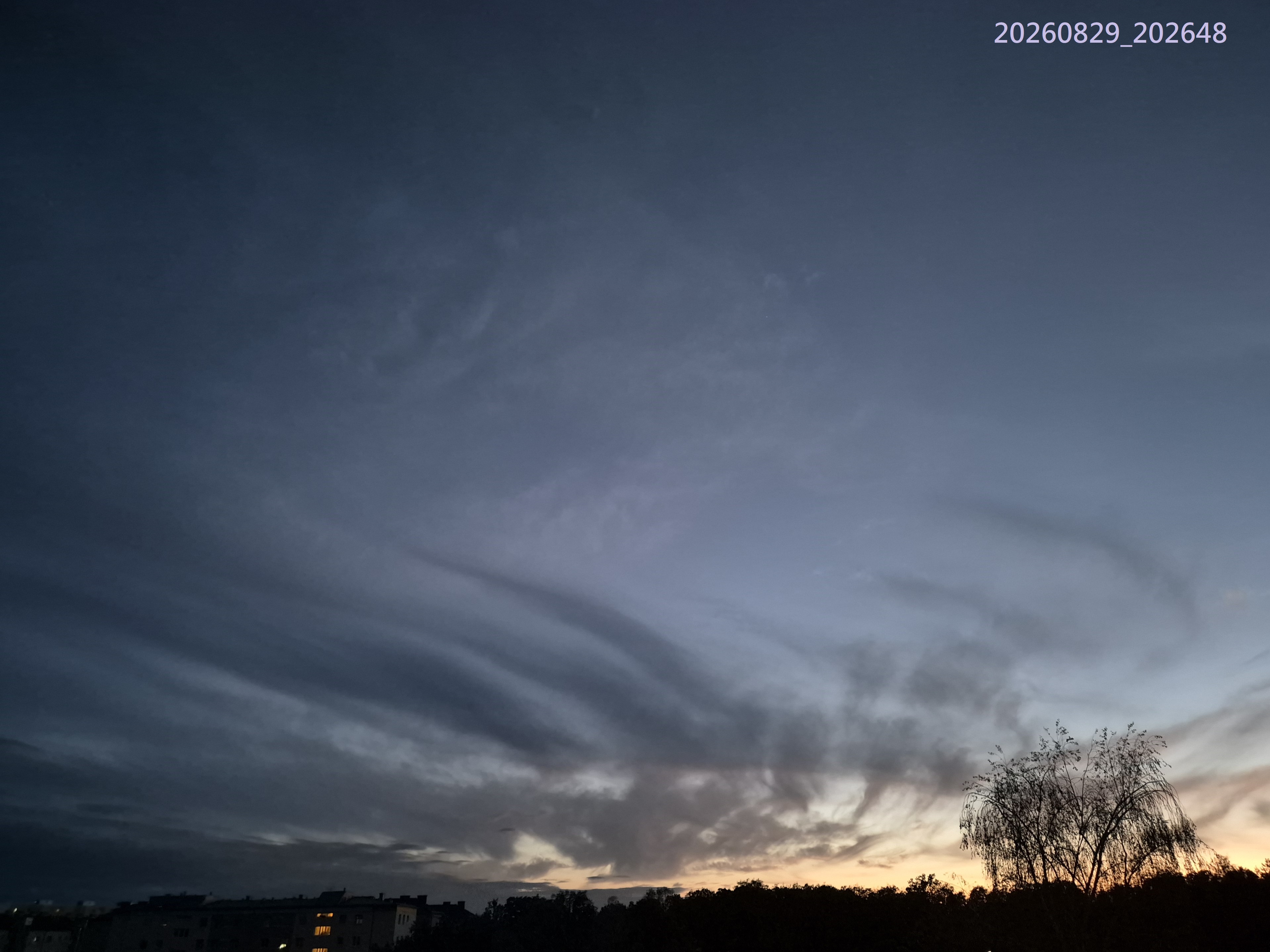 B2026_08_82