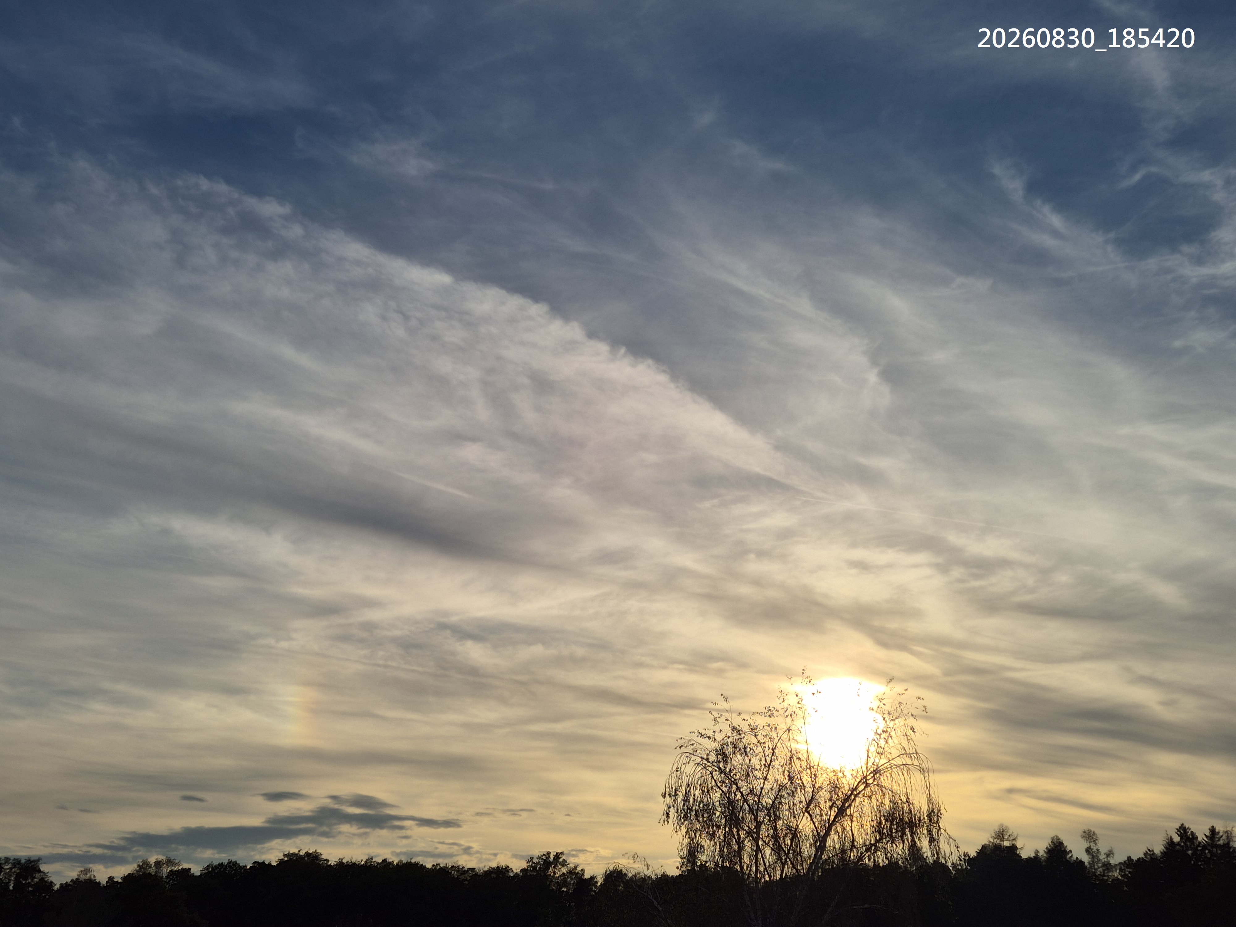 B2026_08_86