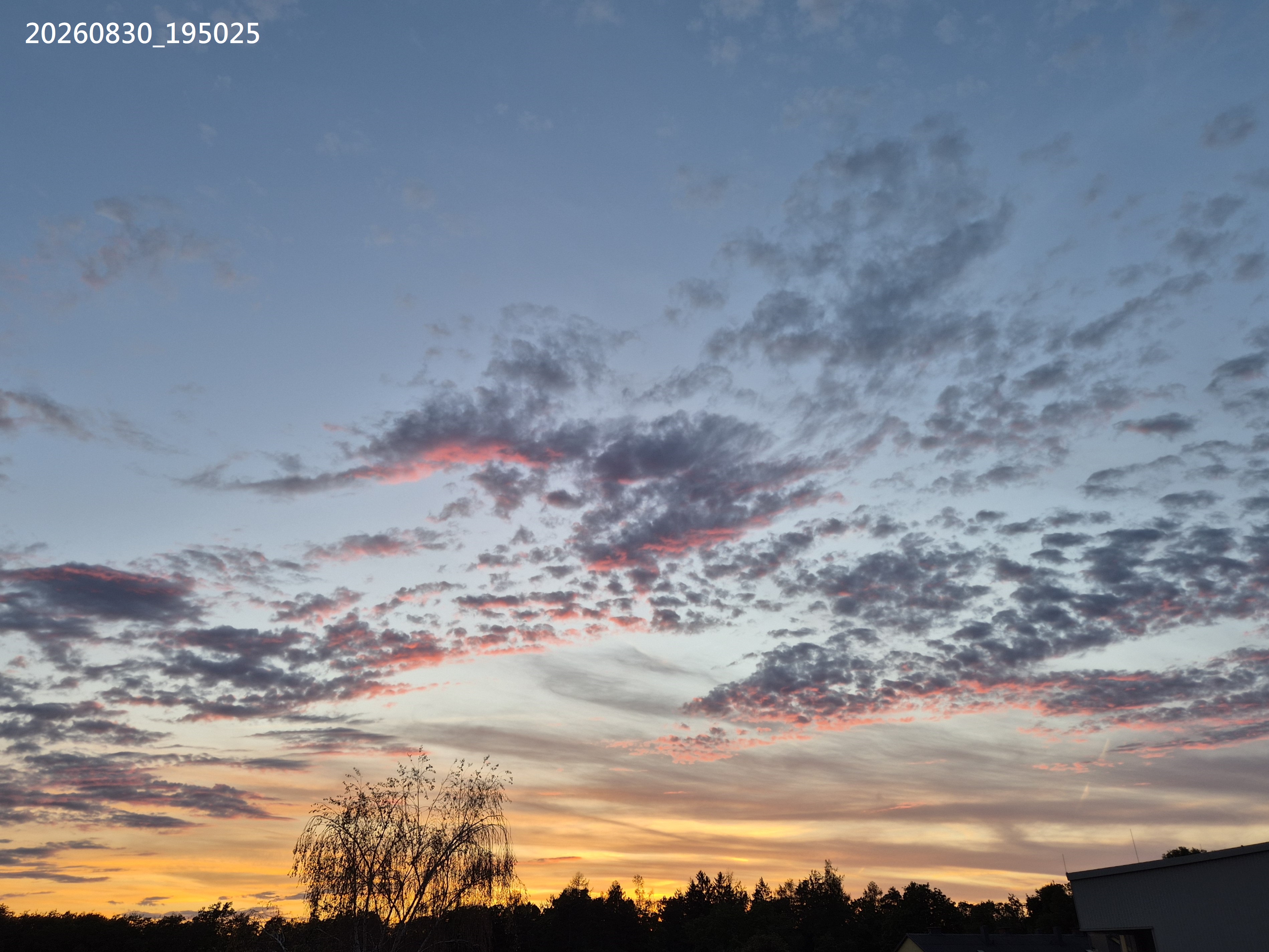 B2026_08_88