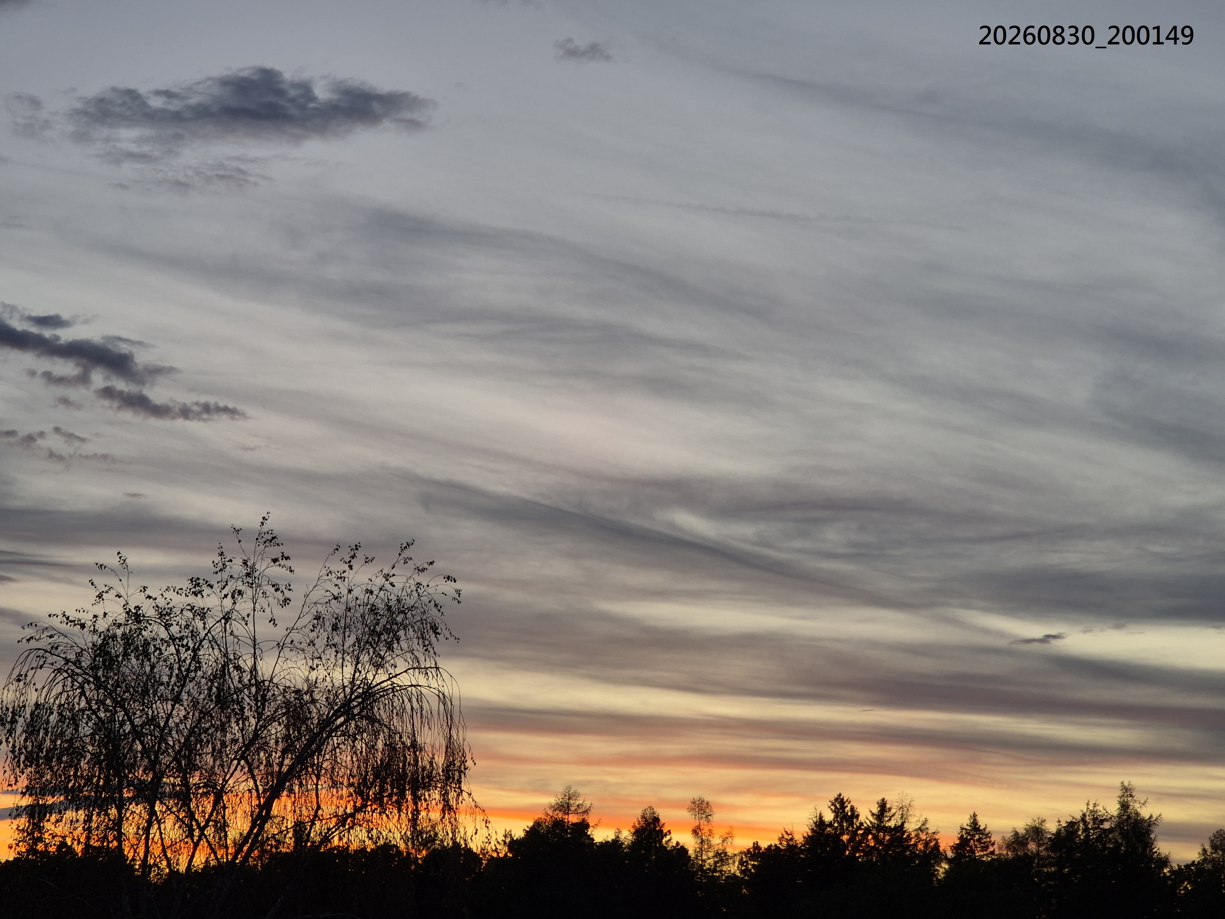 B2026_08_89
