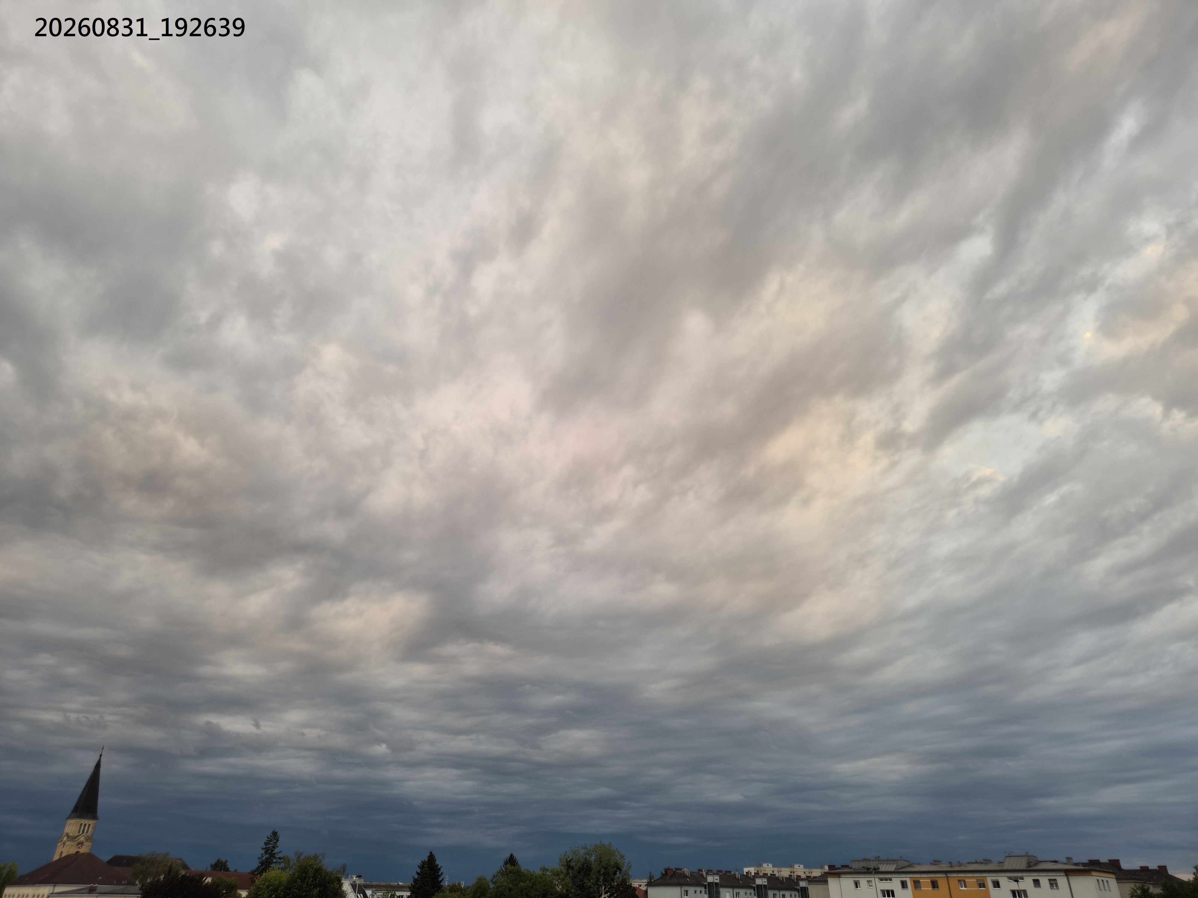 B2026_08_91