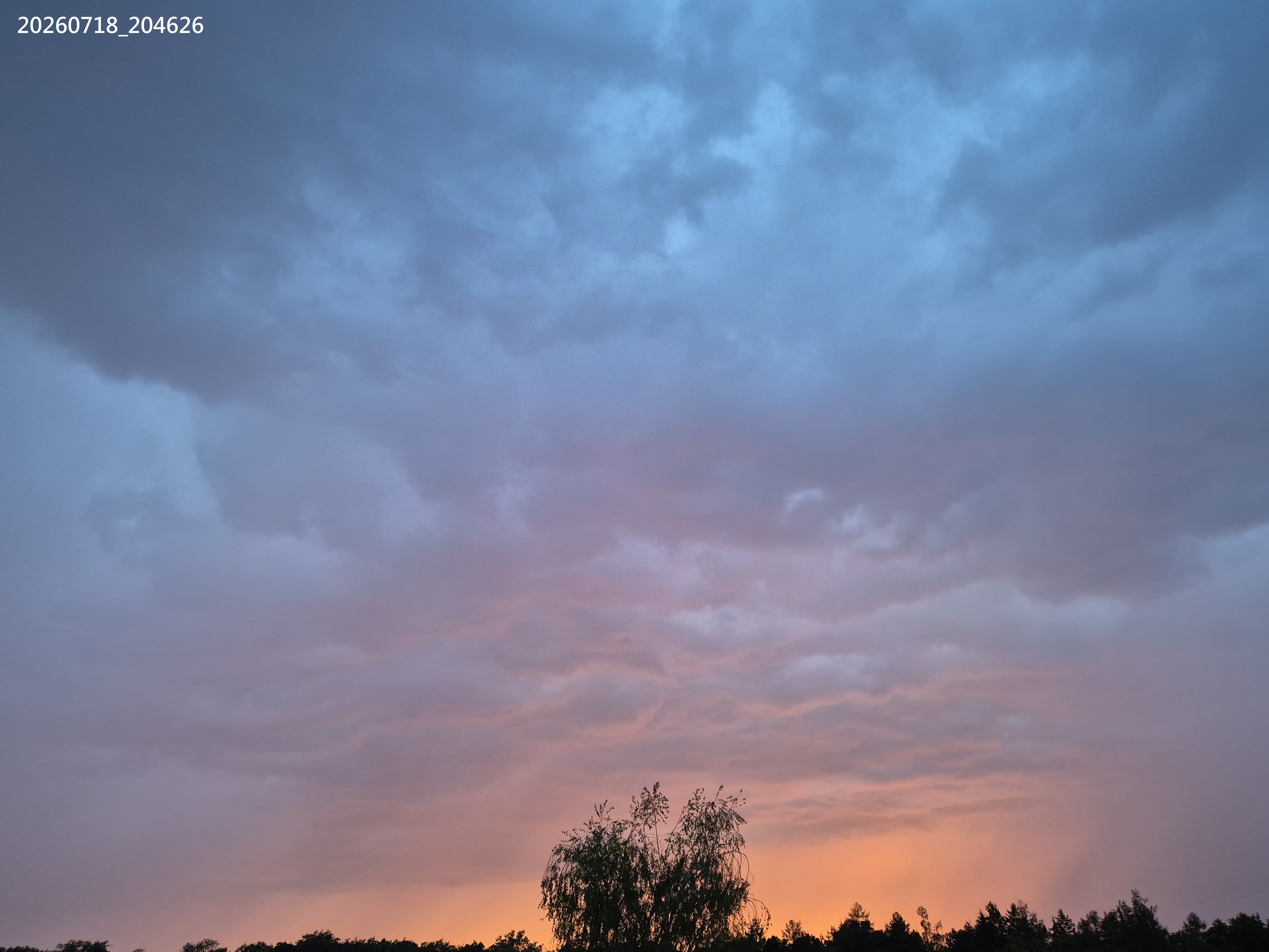 B2026_07_34