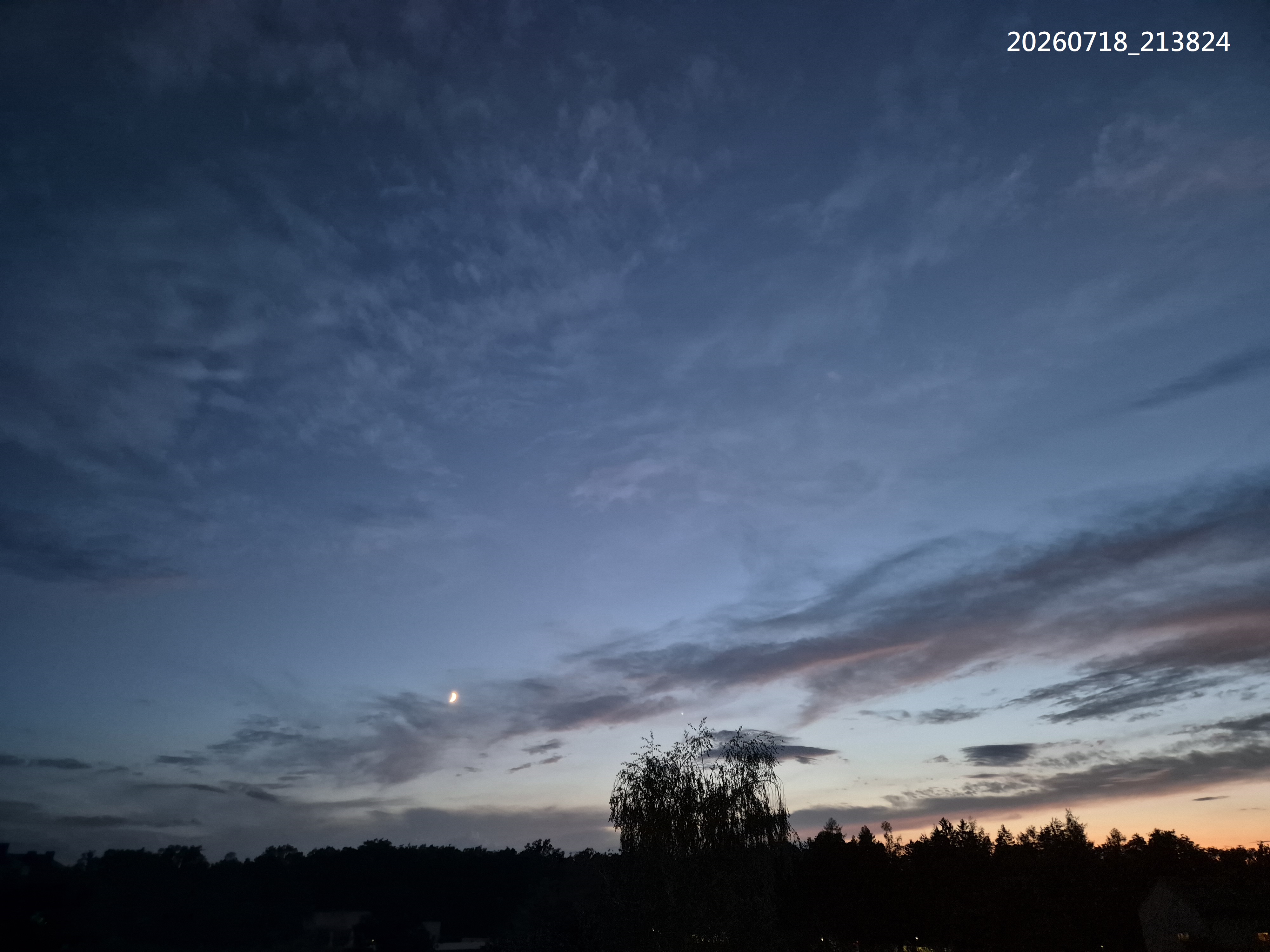 B2026_07_37