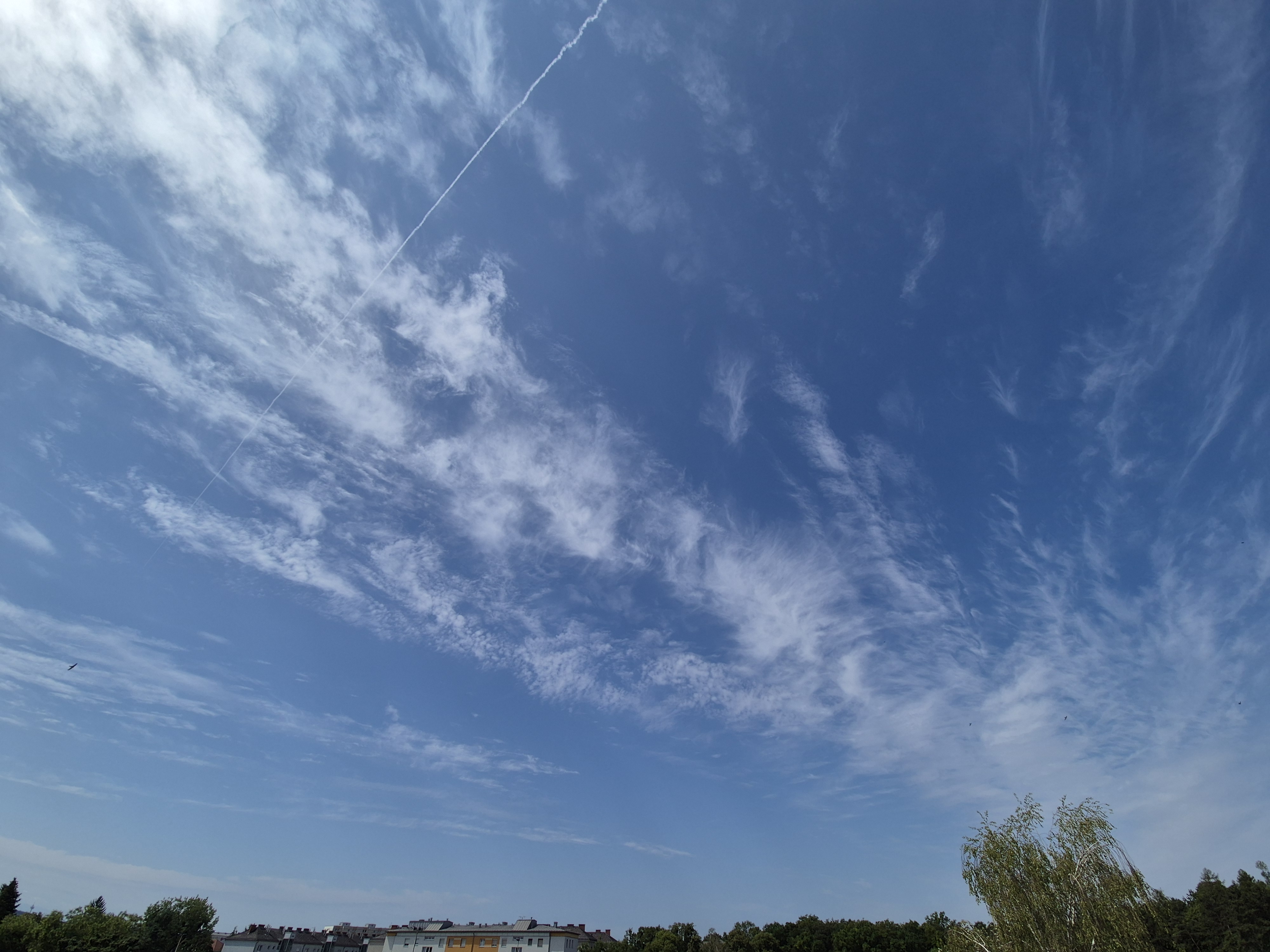 B2026_07_43