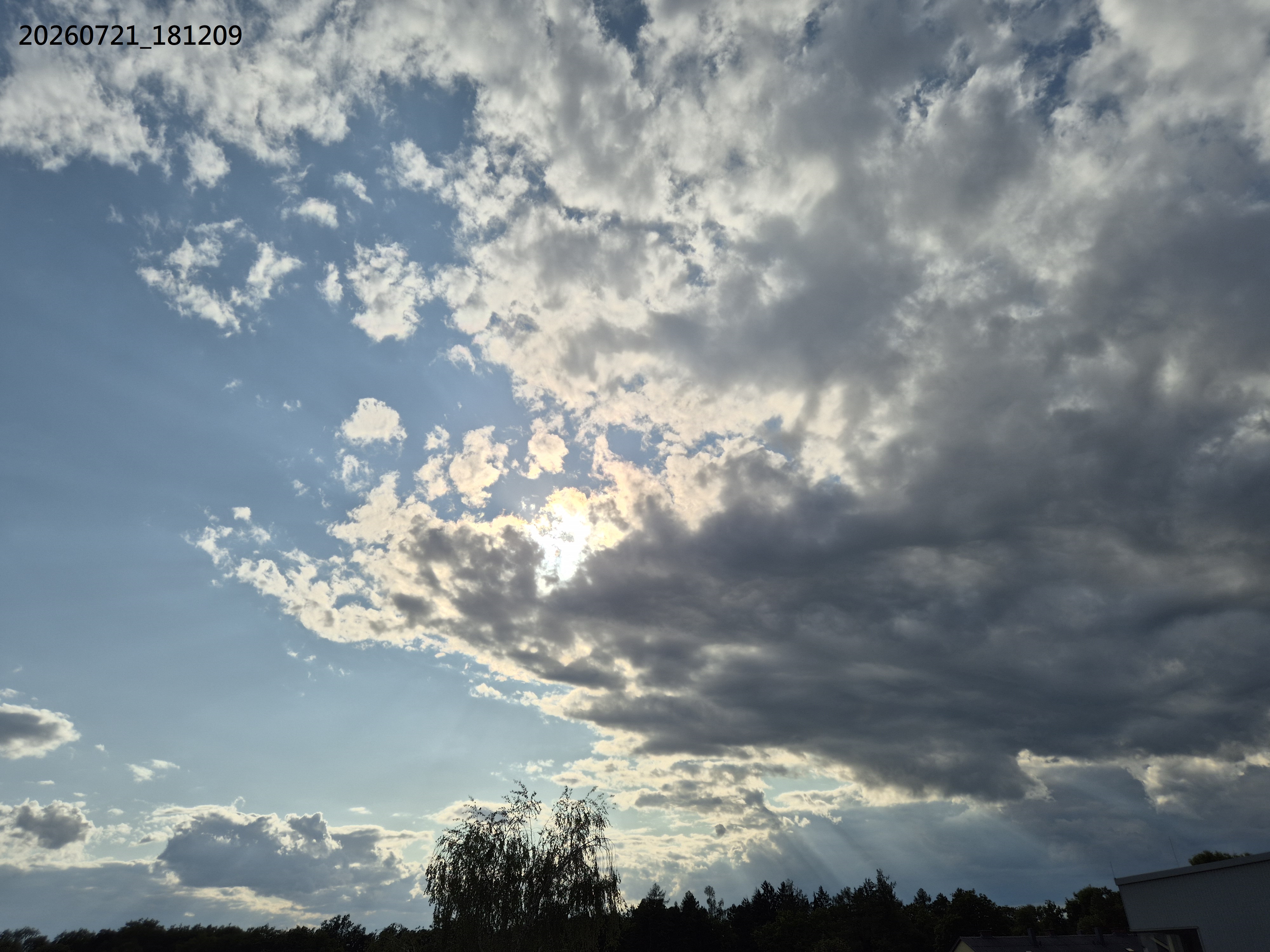 B2026_07_49