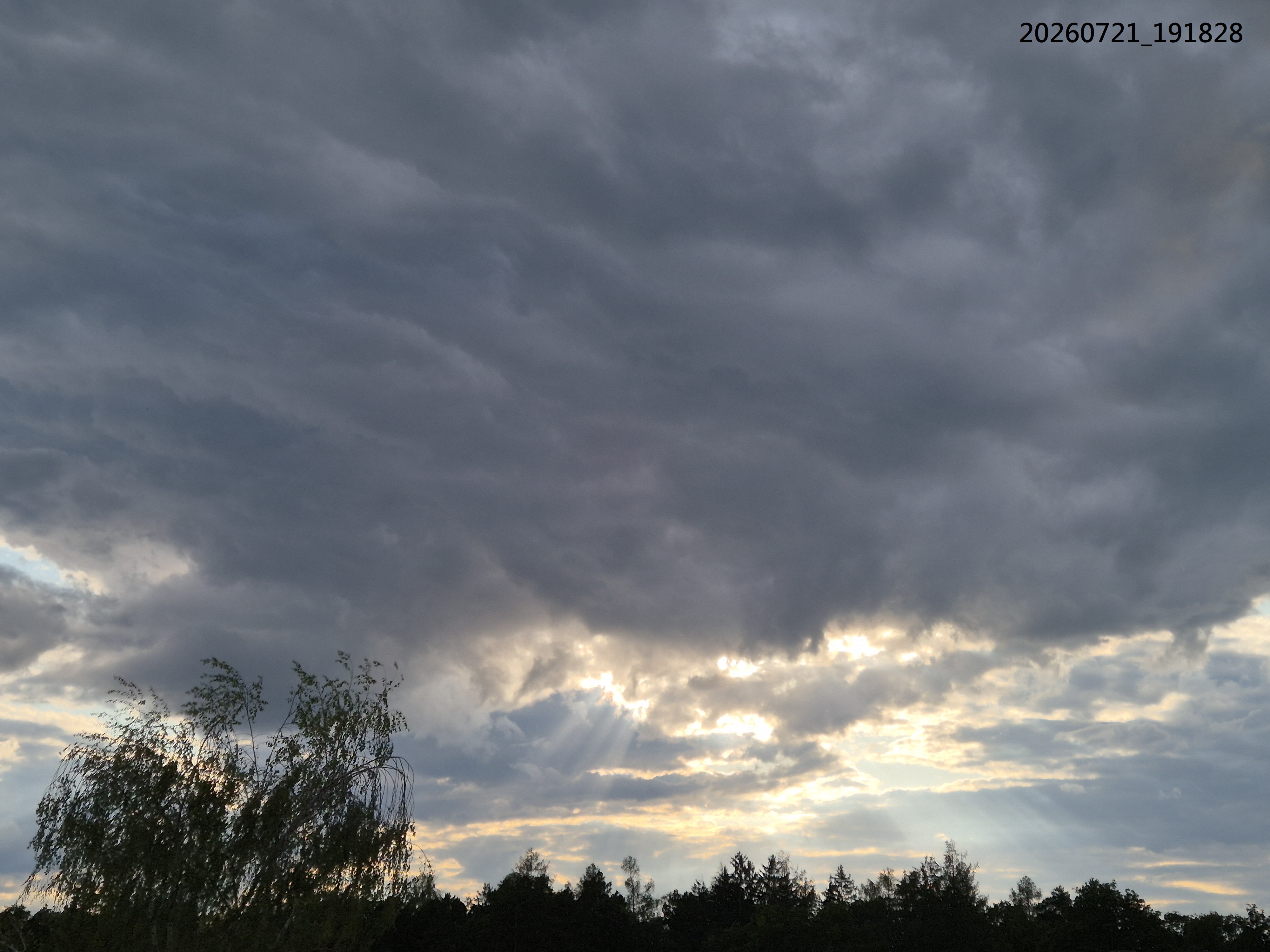 B2026_07_51