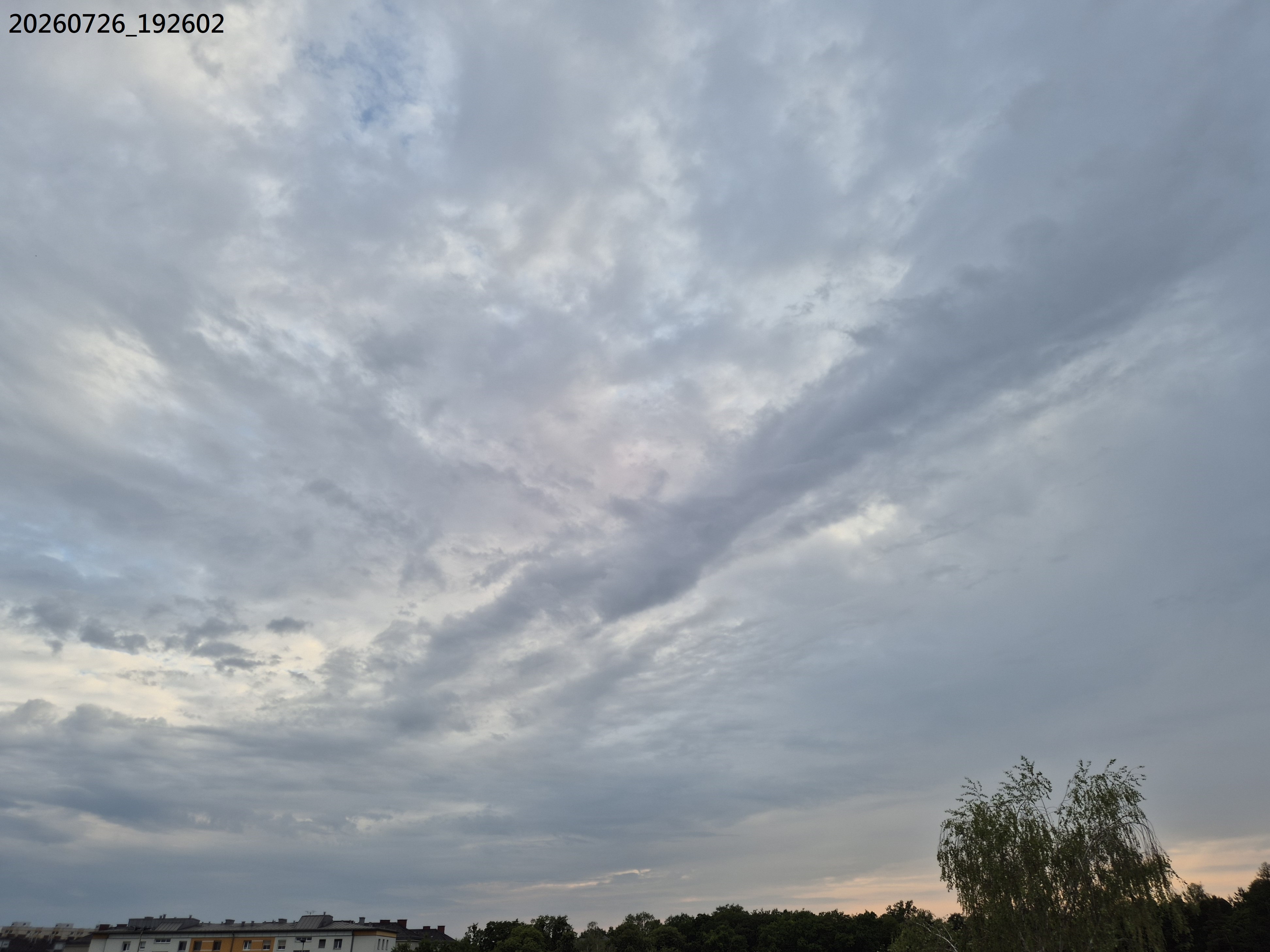 B2026_07_64