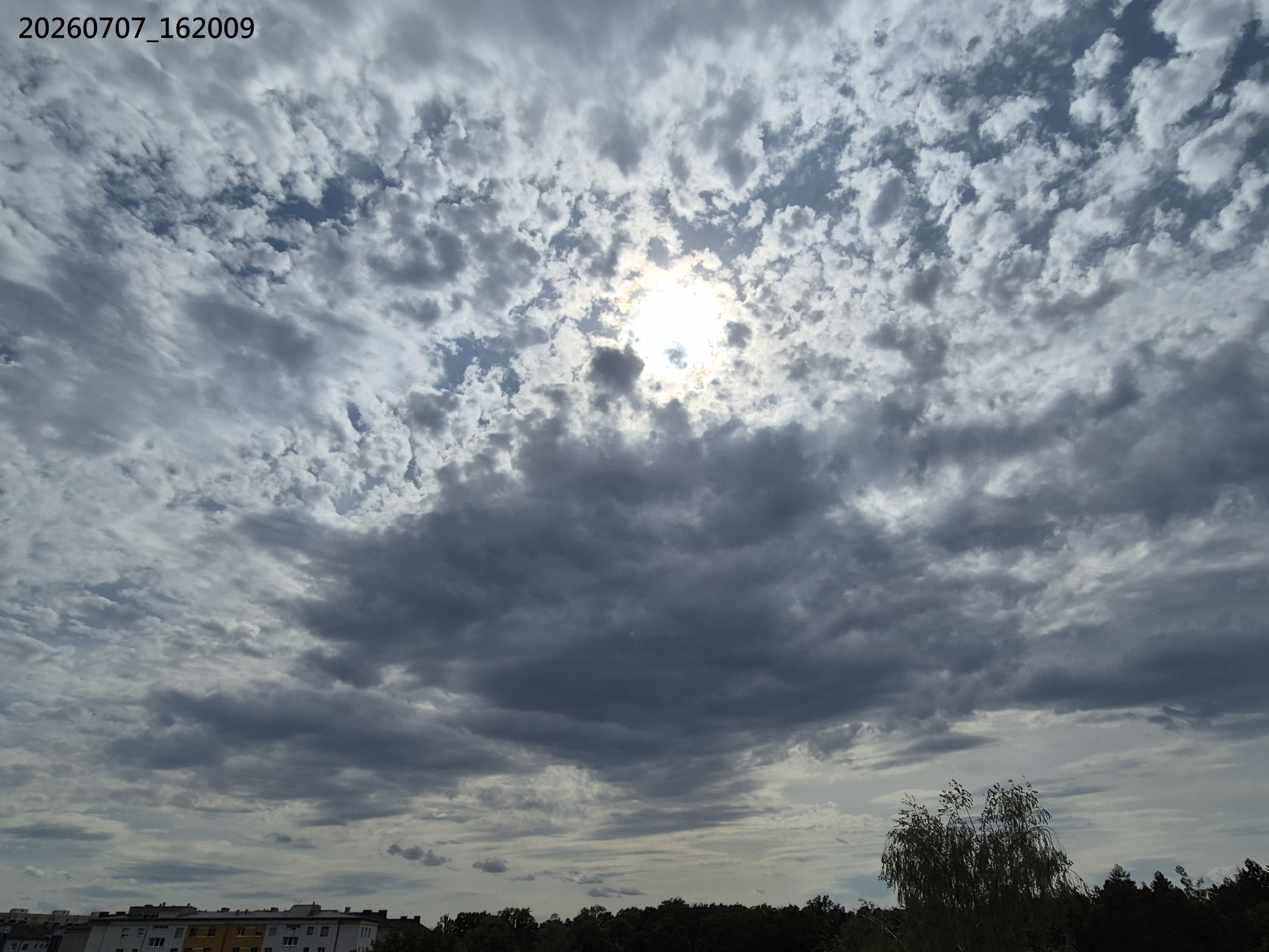 B2026_07_9
