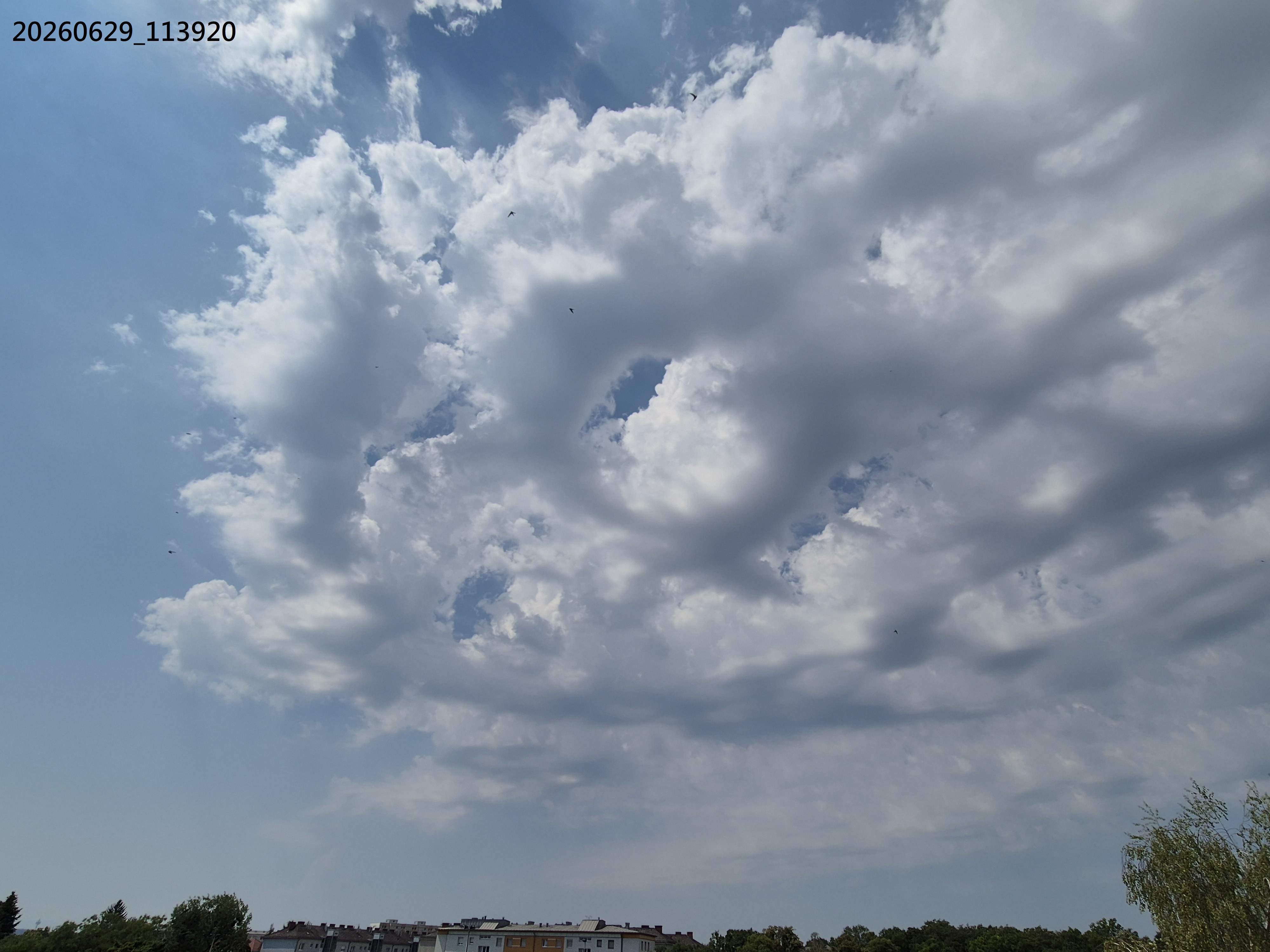 B2026_06_64