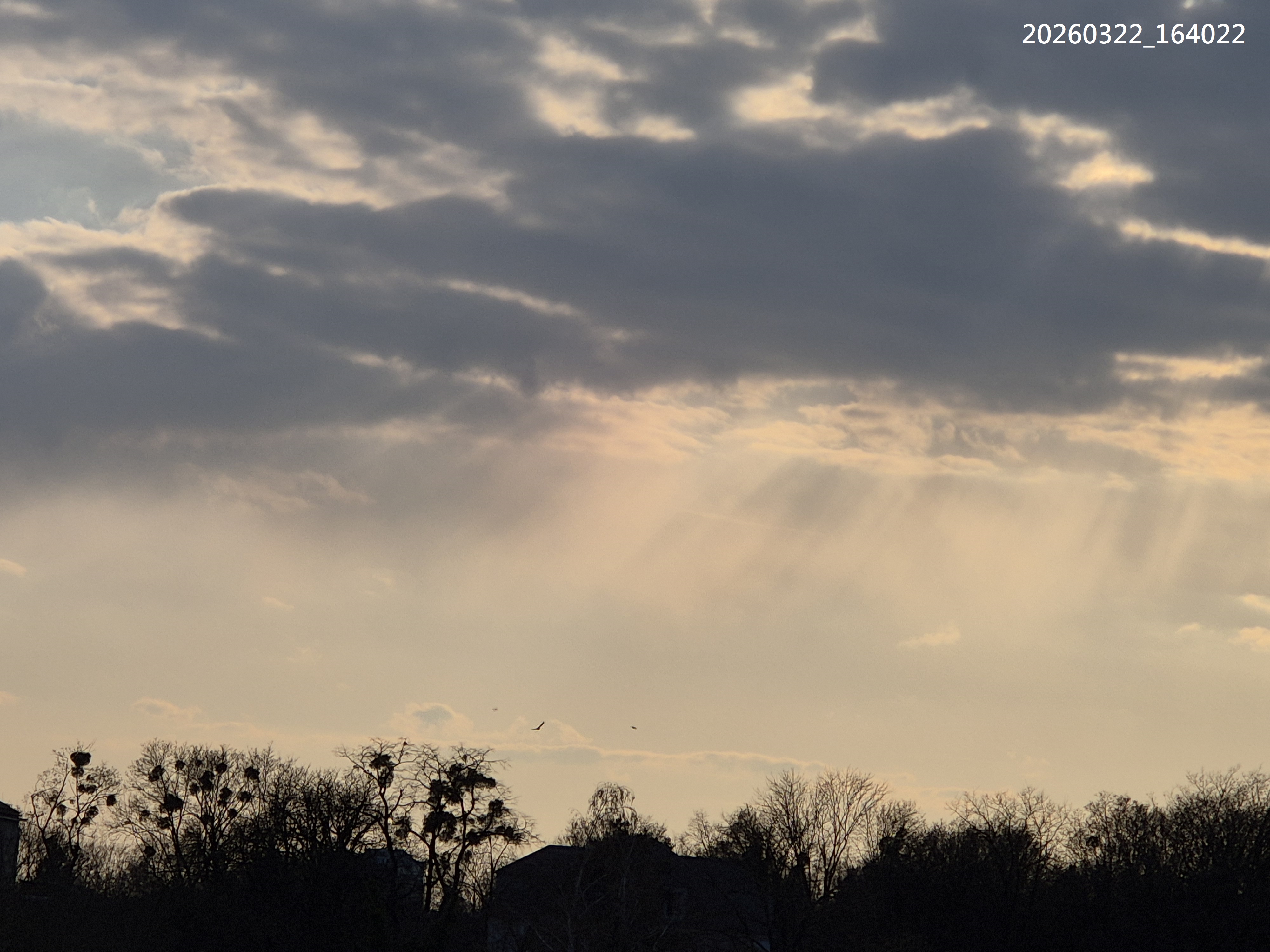 B2026_3_65