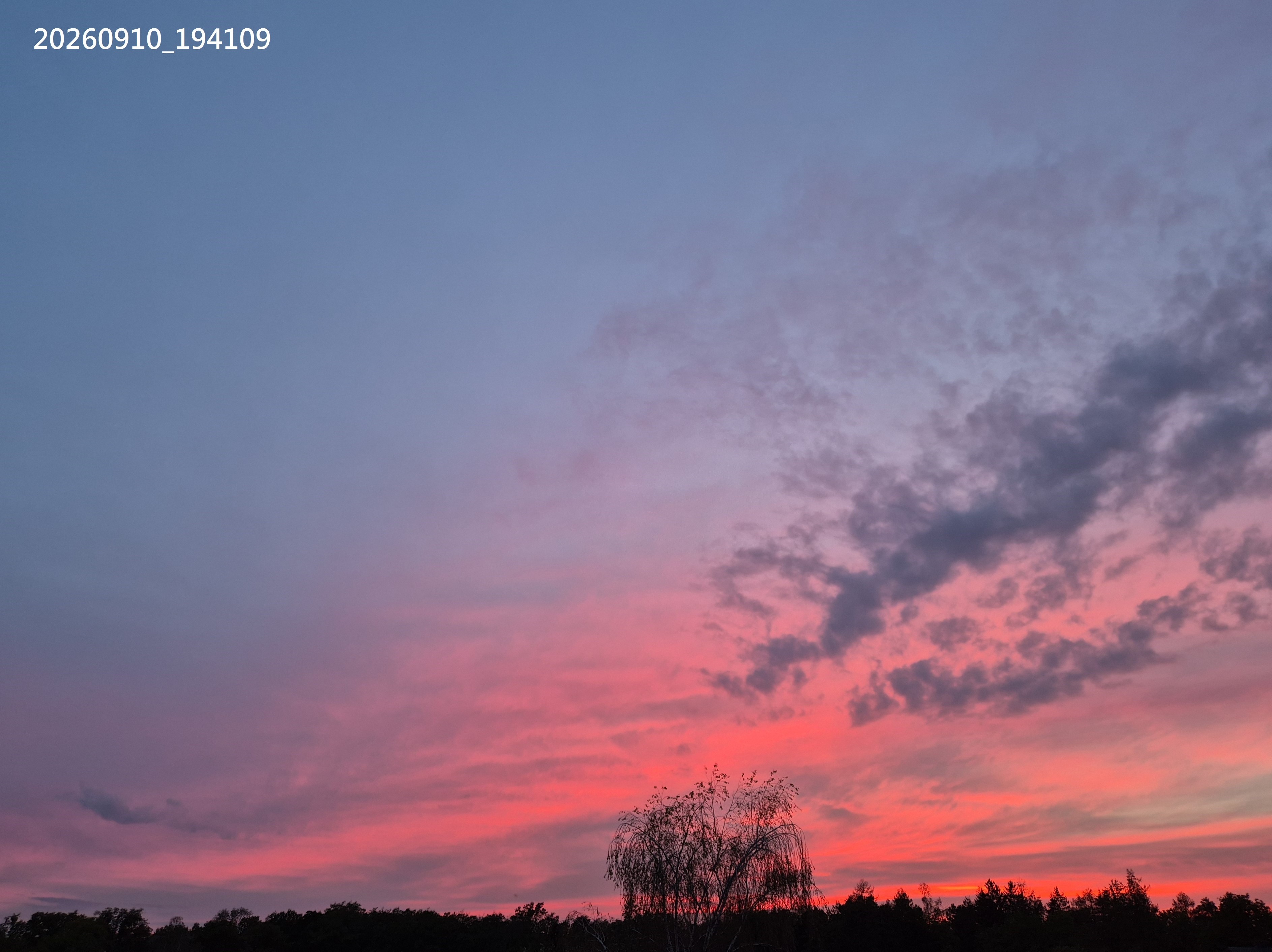 B2026_09_28