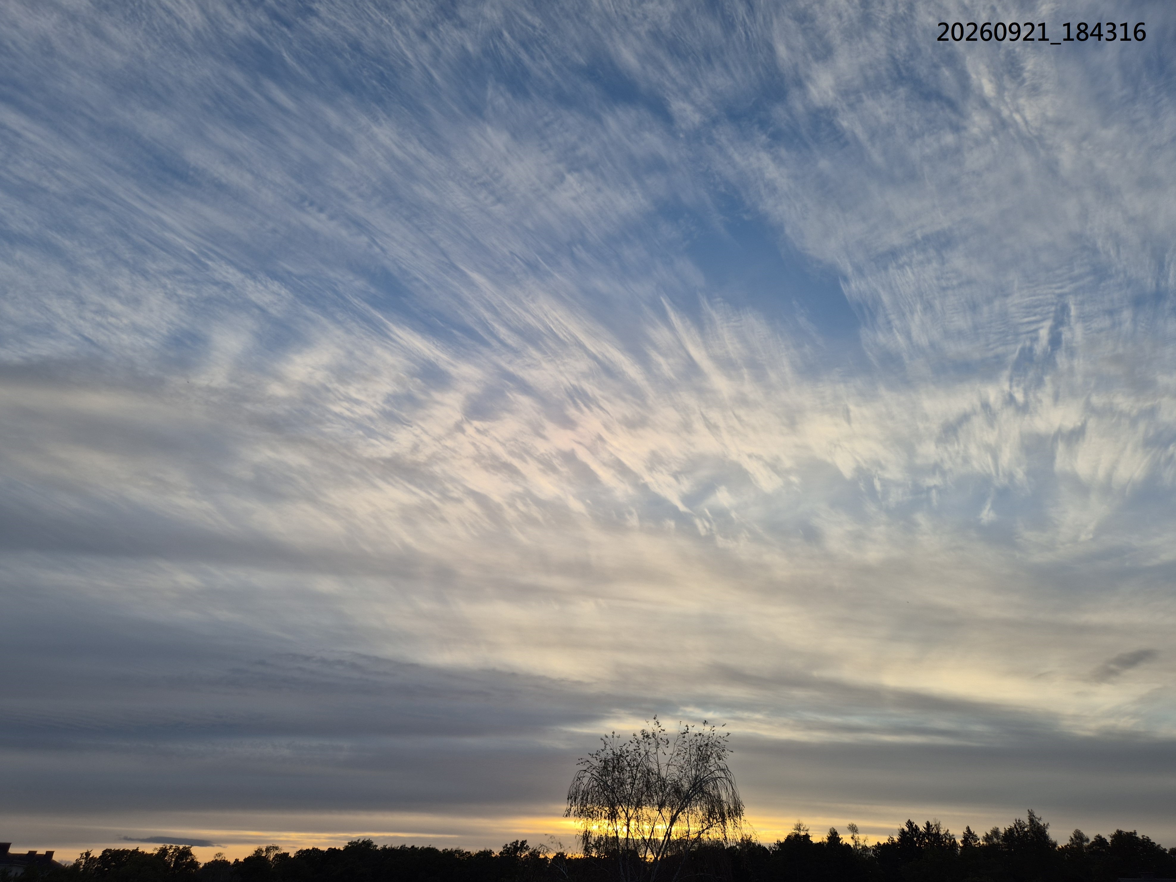 B2026_09_65